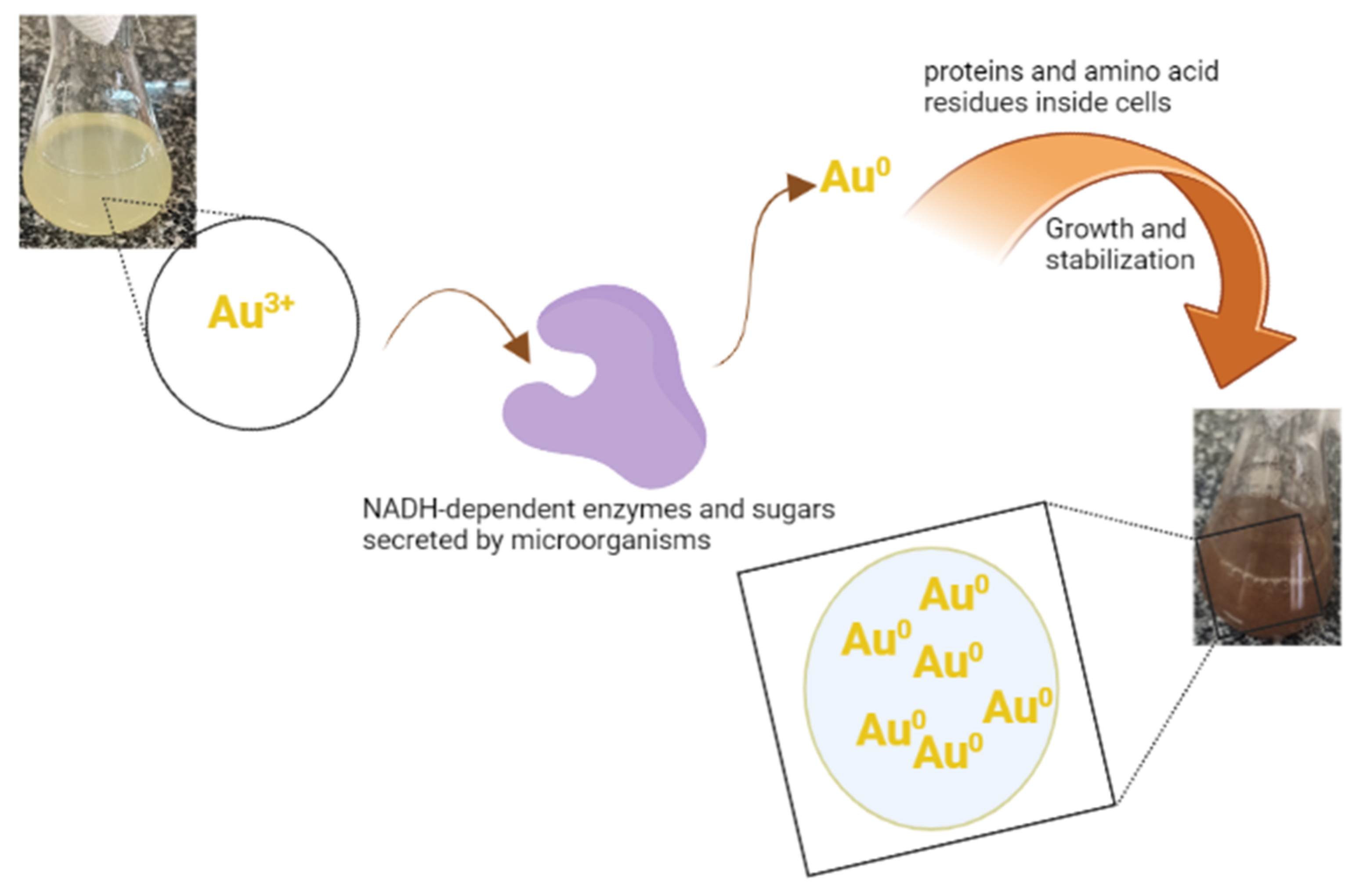 Catalysts 12 01048 g008 550