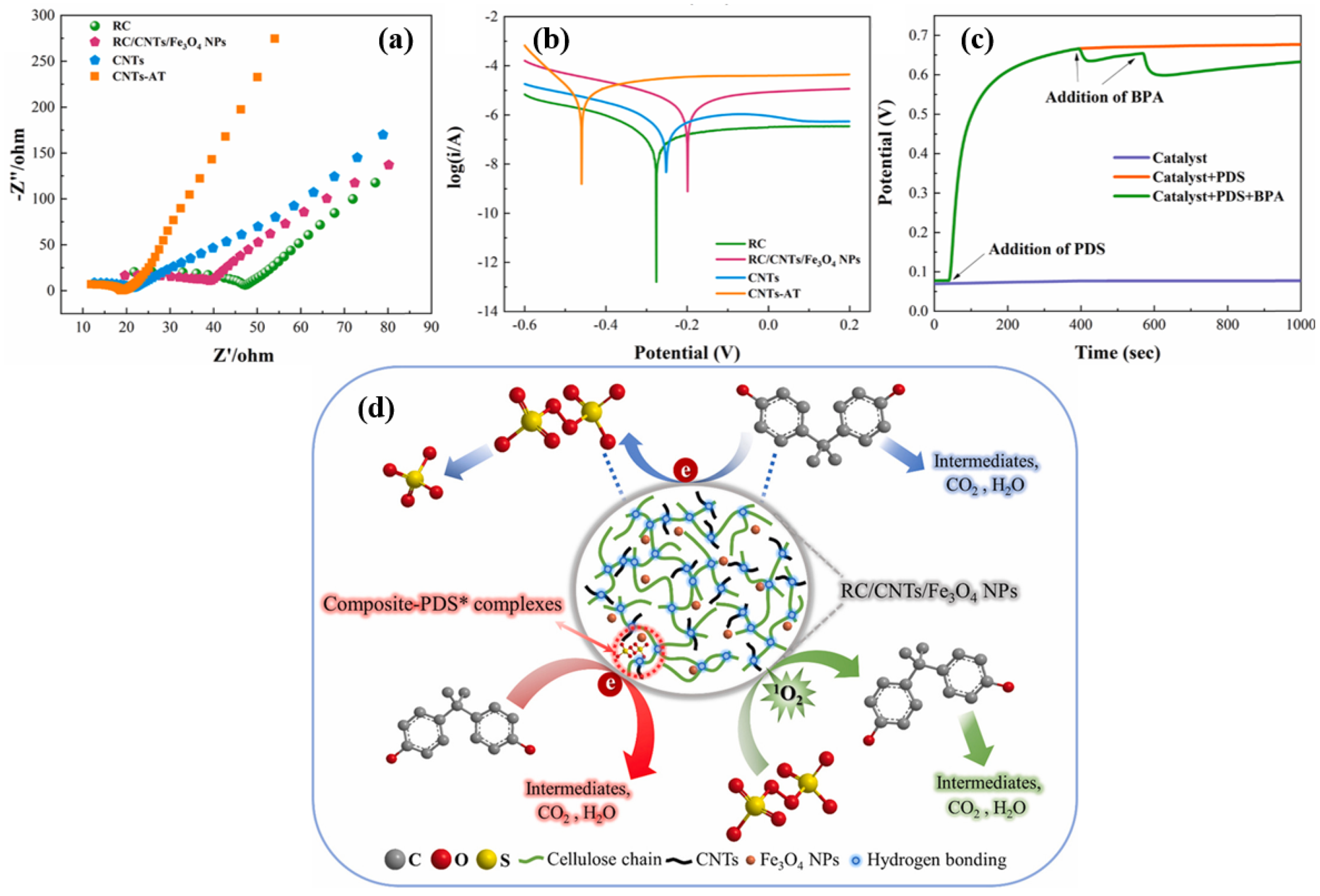 Catalysts 12 01058 g004