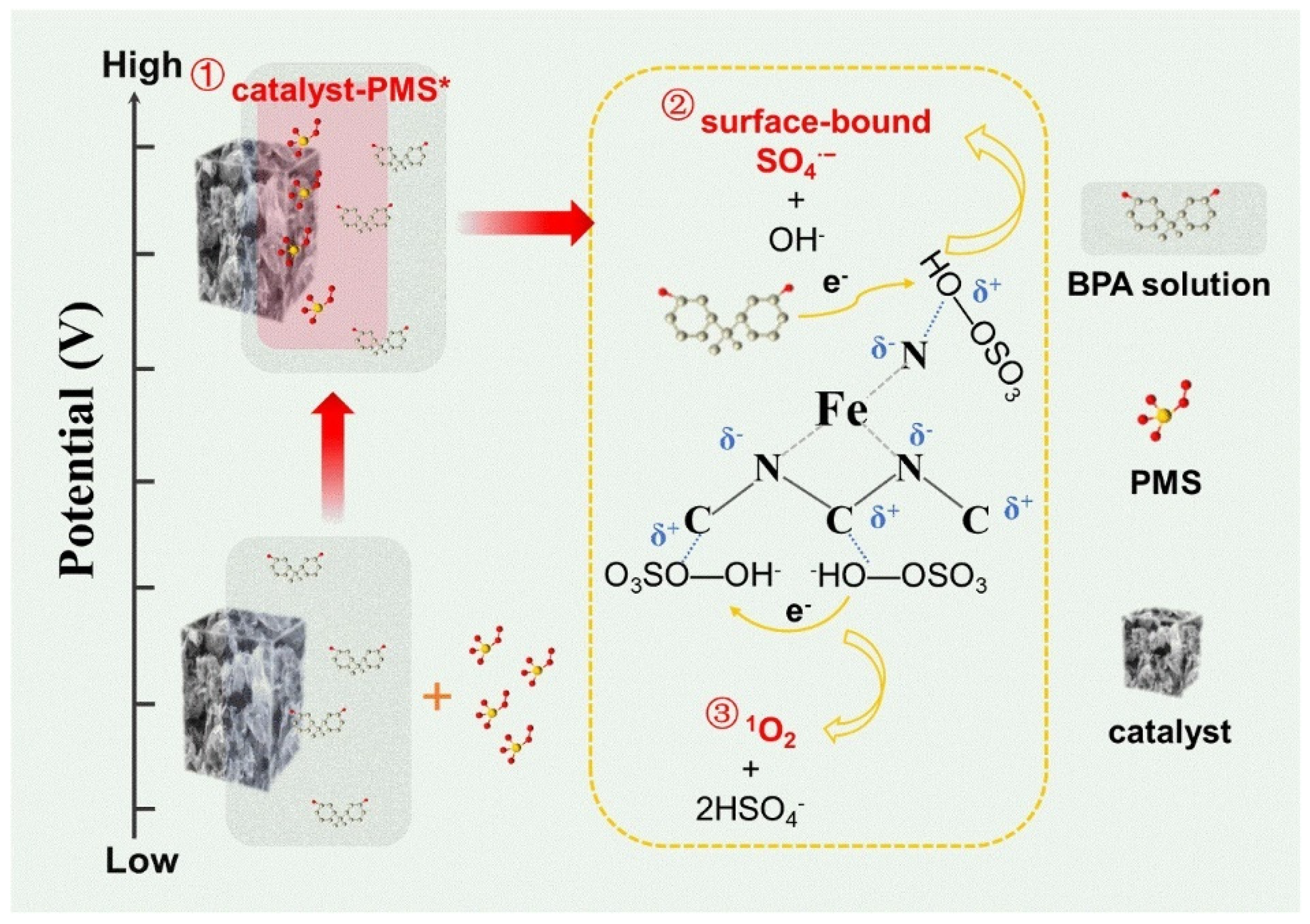 Catalysts 12 01058 g005