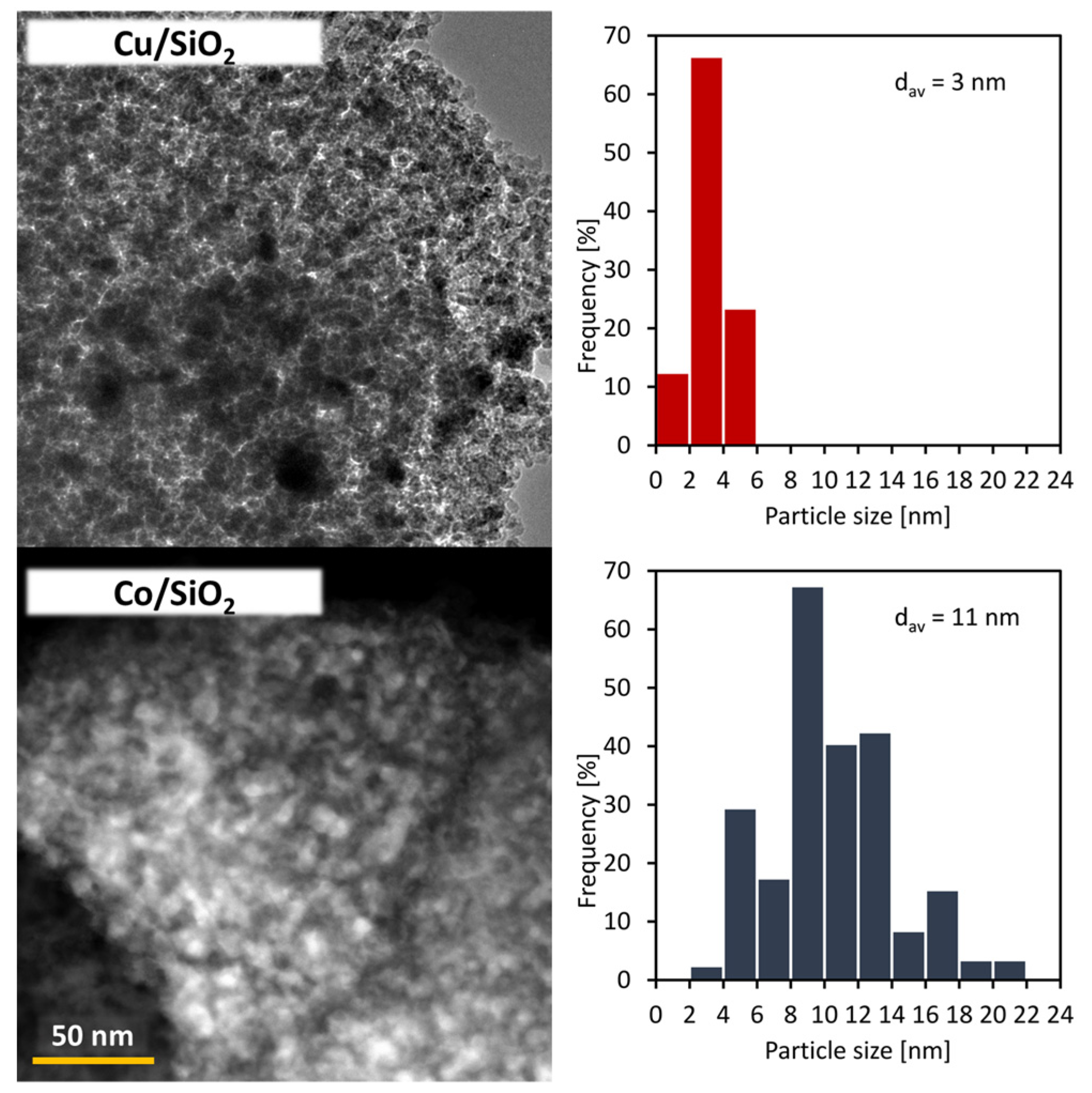 Catalysts 12 01062 g003