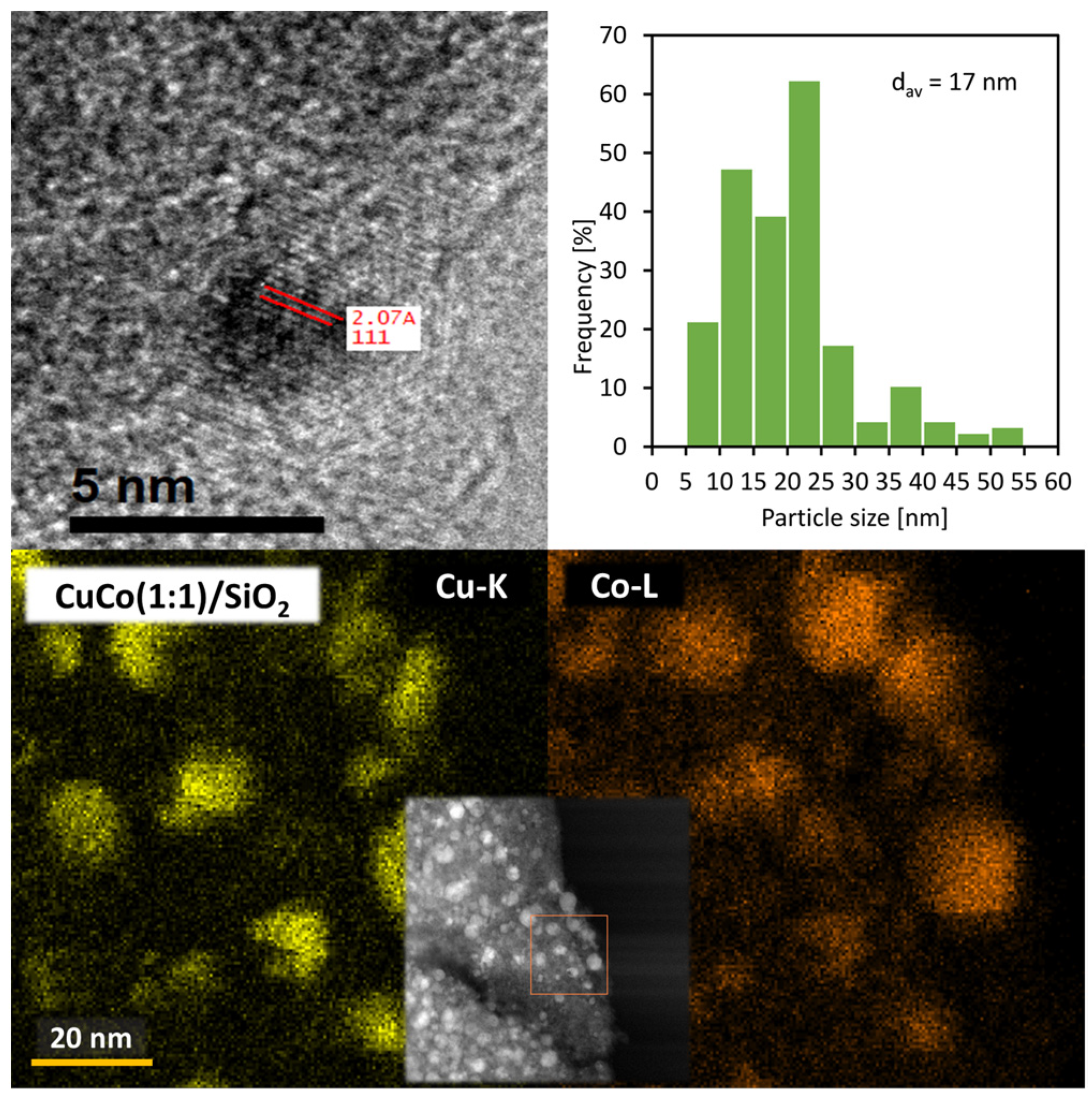 Catalysts 12 01062 g005