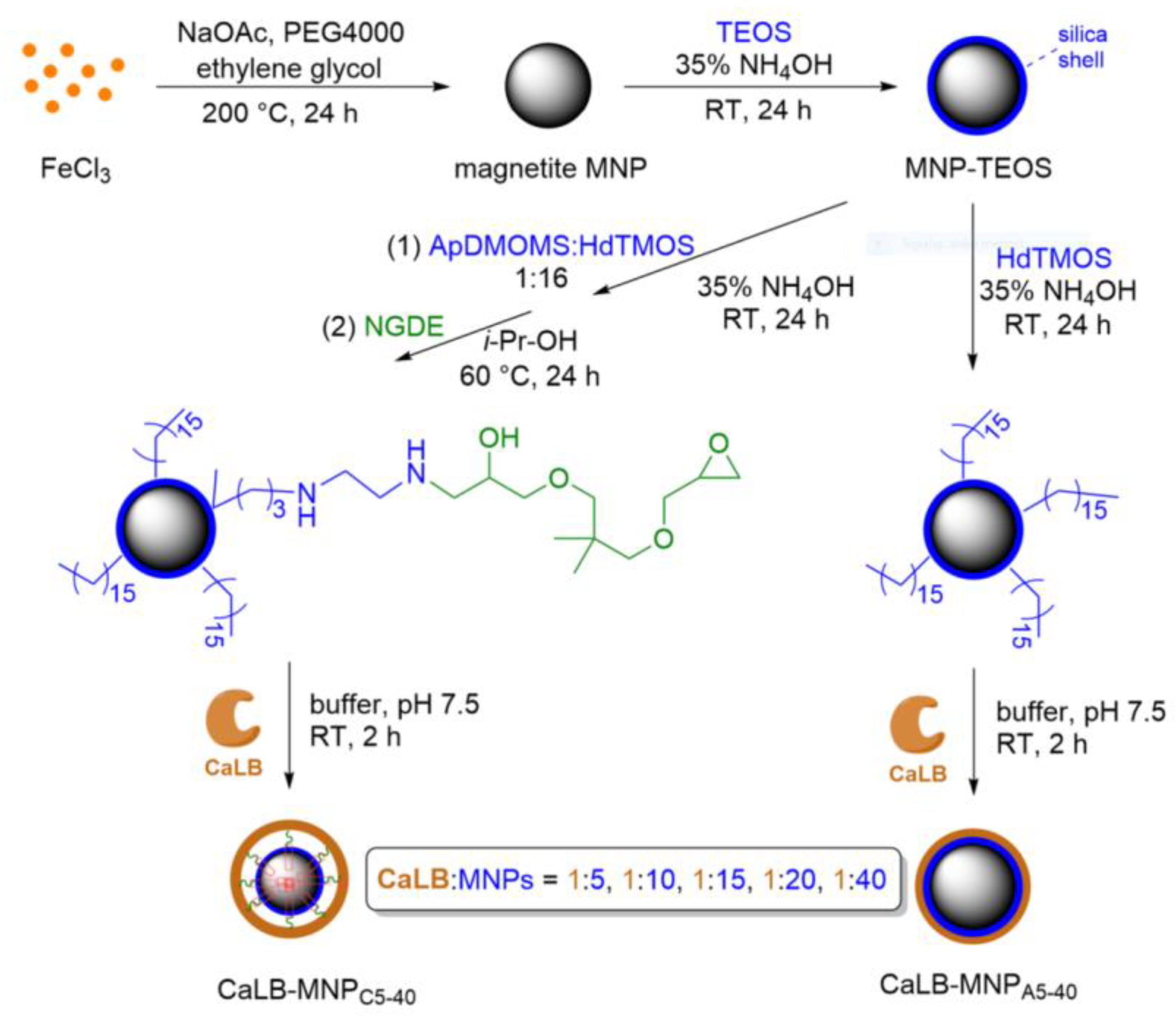 Catalysts 12 01065 sch001 Catalysts 12 01065 sch001
