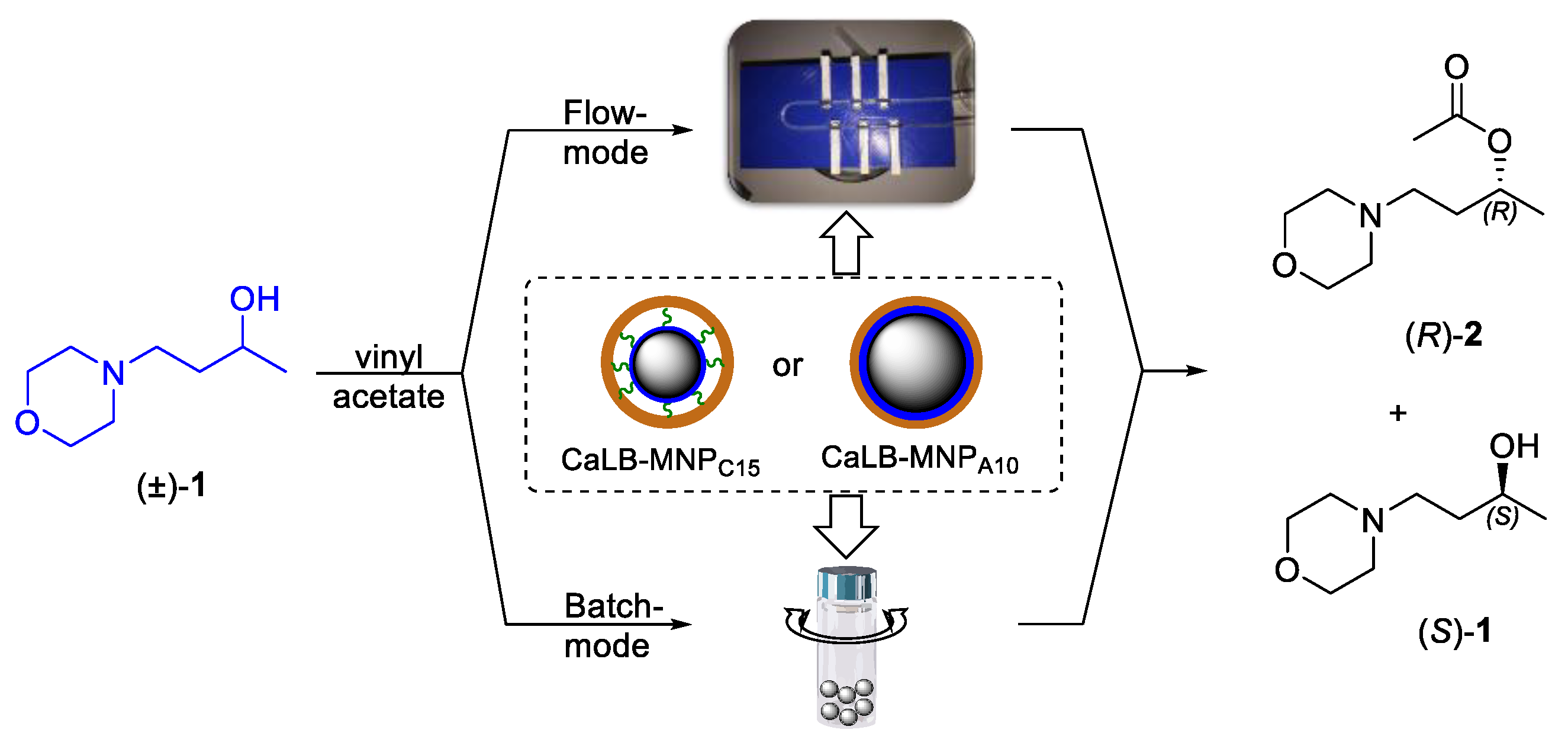 Catalysts 12 01065 sch002 Catalysts 12 01065 sch002