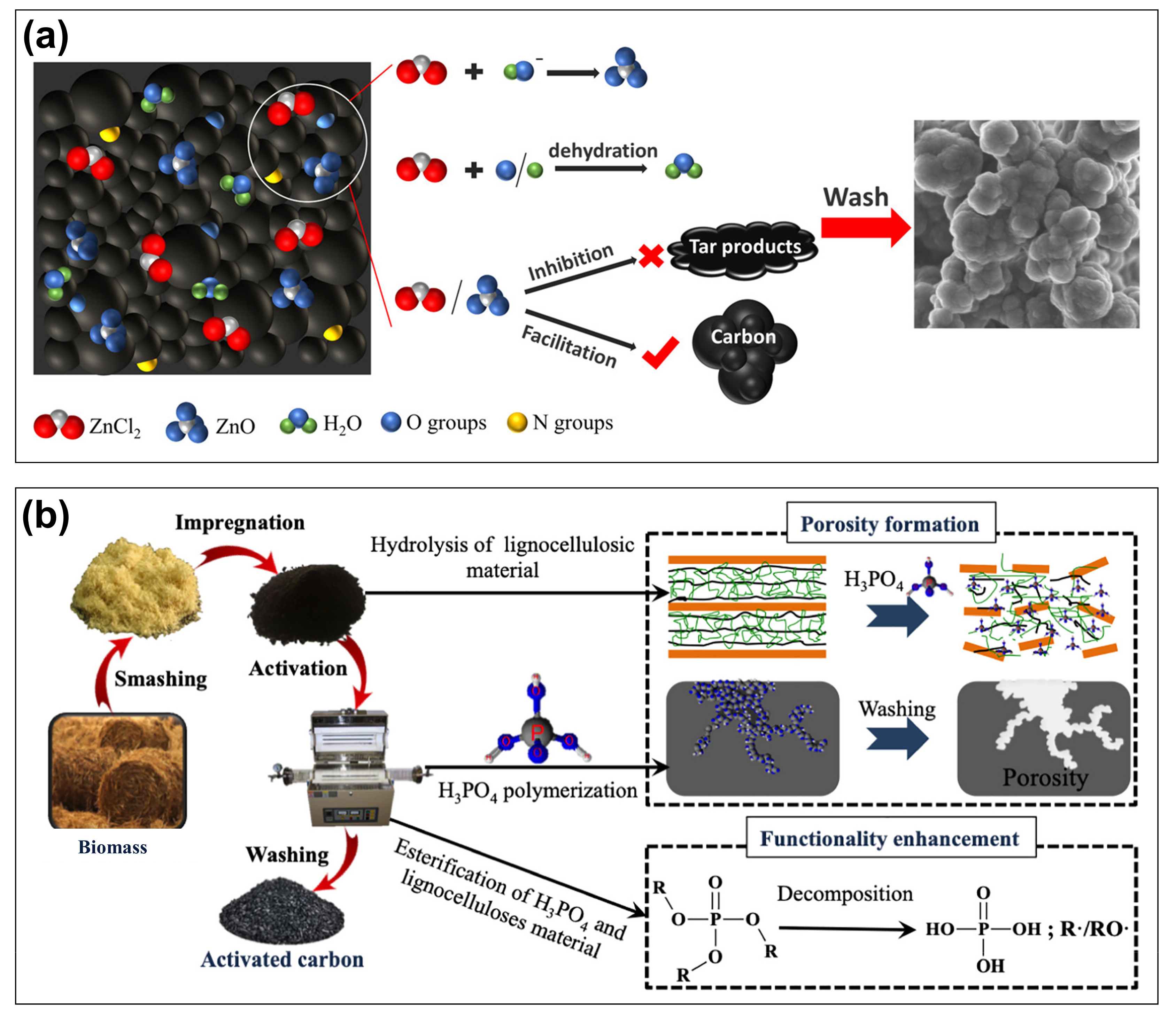 Catalysts 12 01067 g002 550