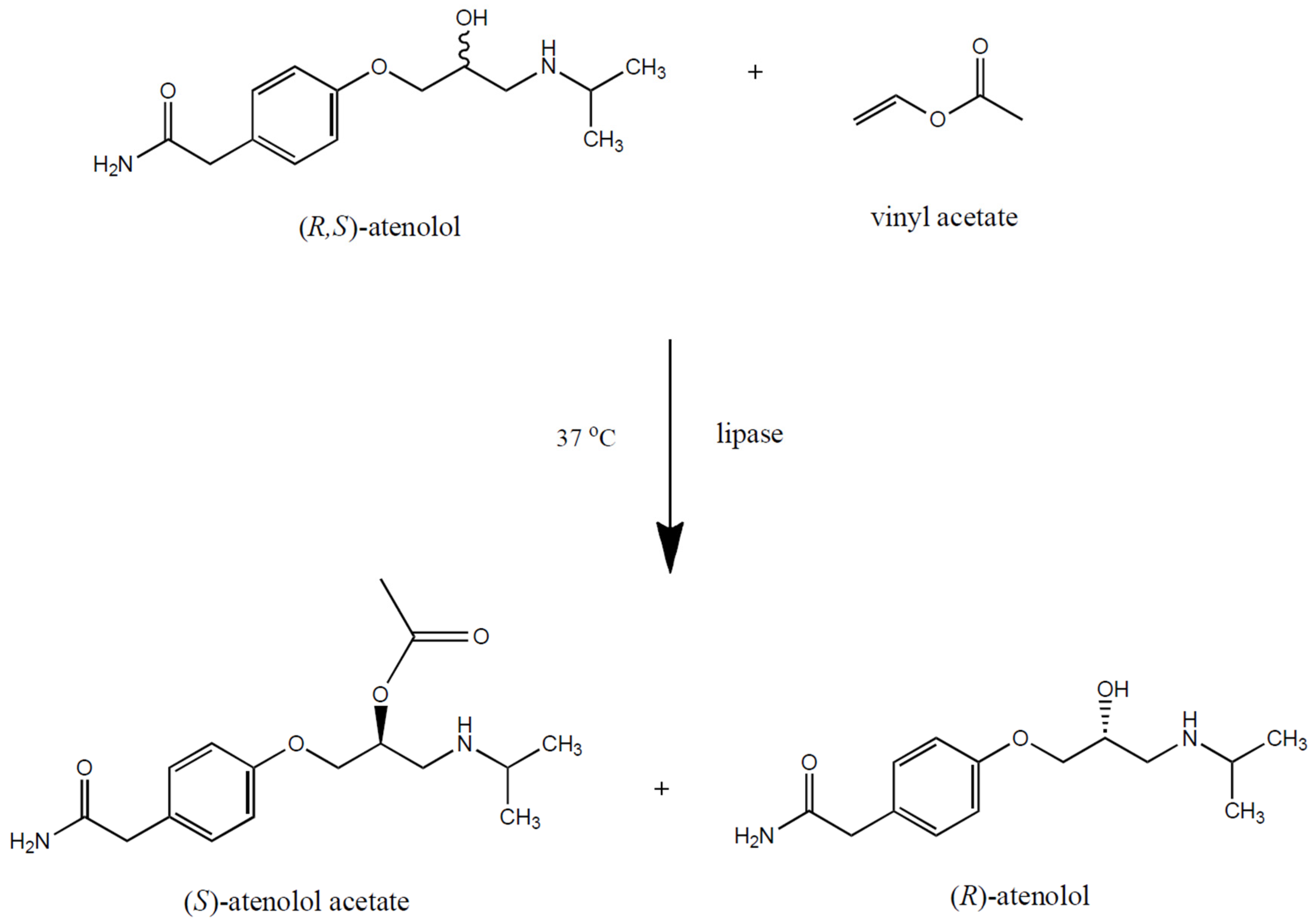 Catalysts 12 01068 g001