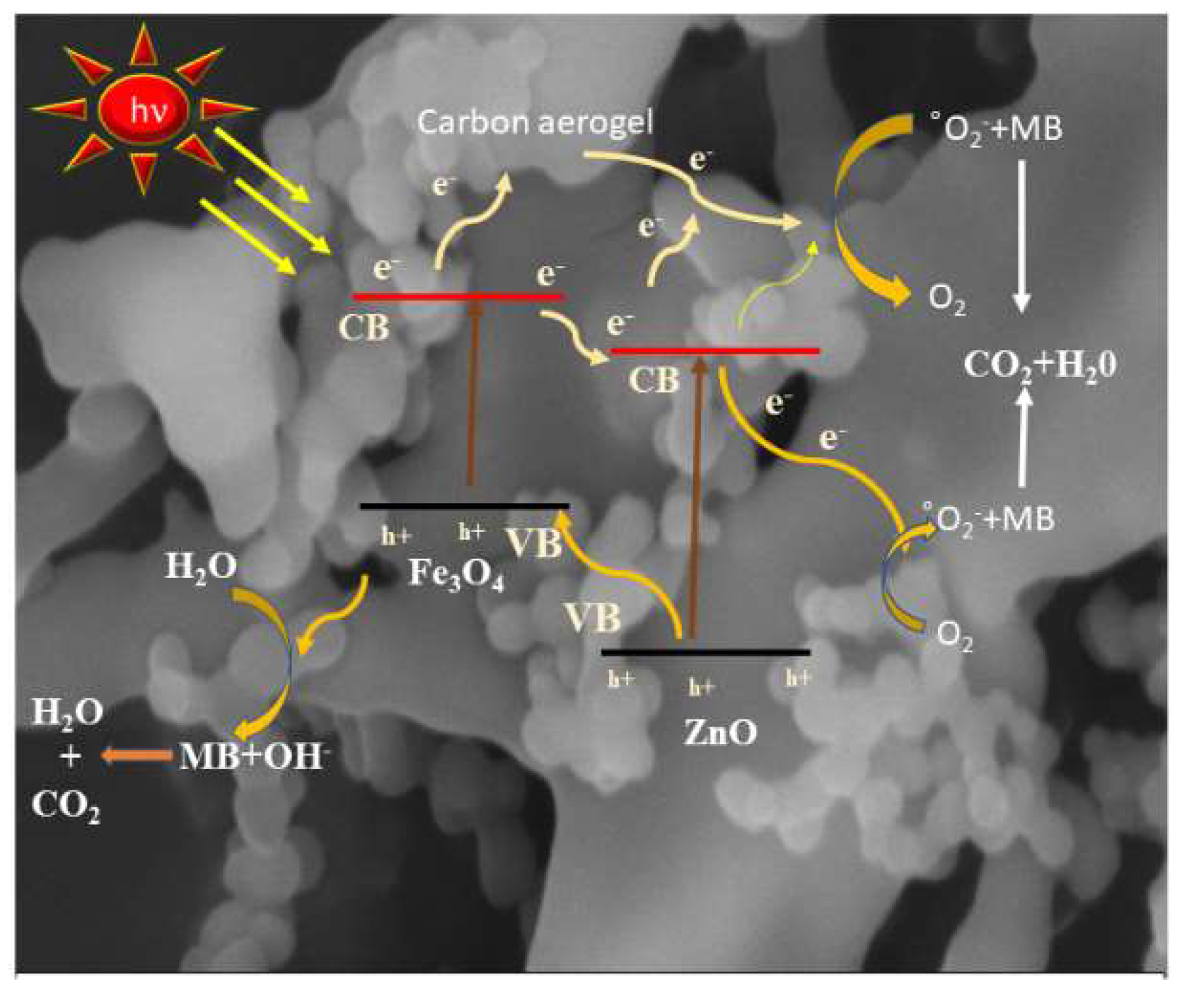 Catalysts 12 01073 g008
