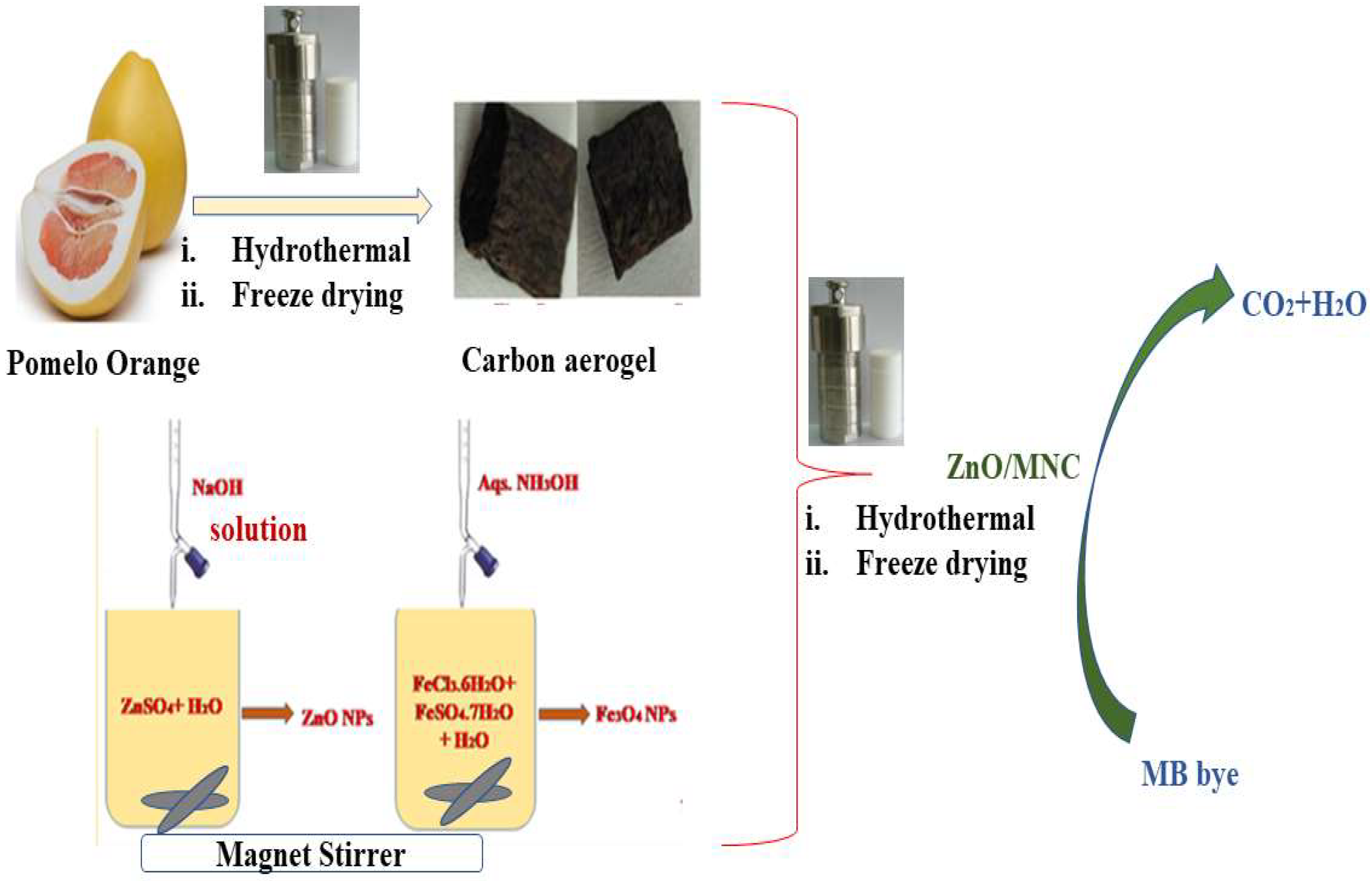 Catalysts 12 01073 sch001