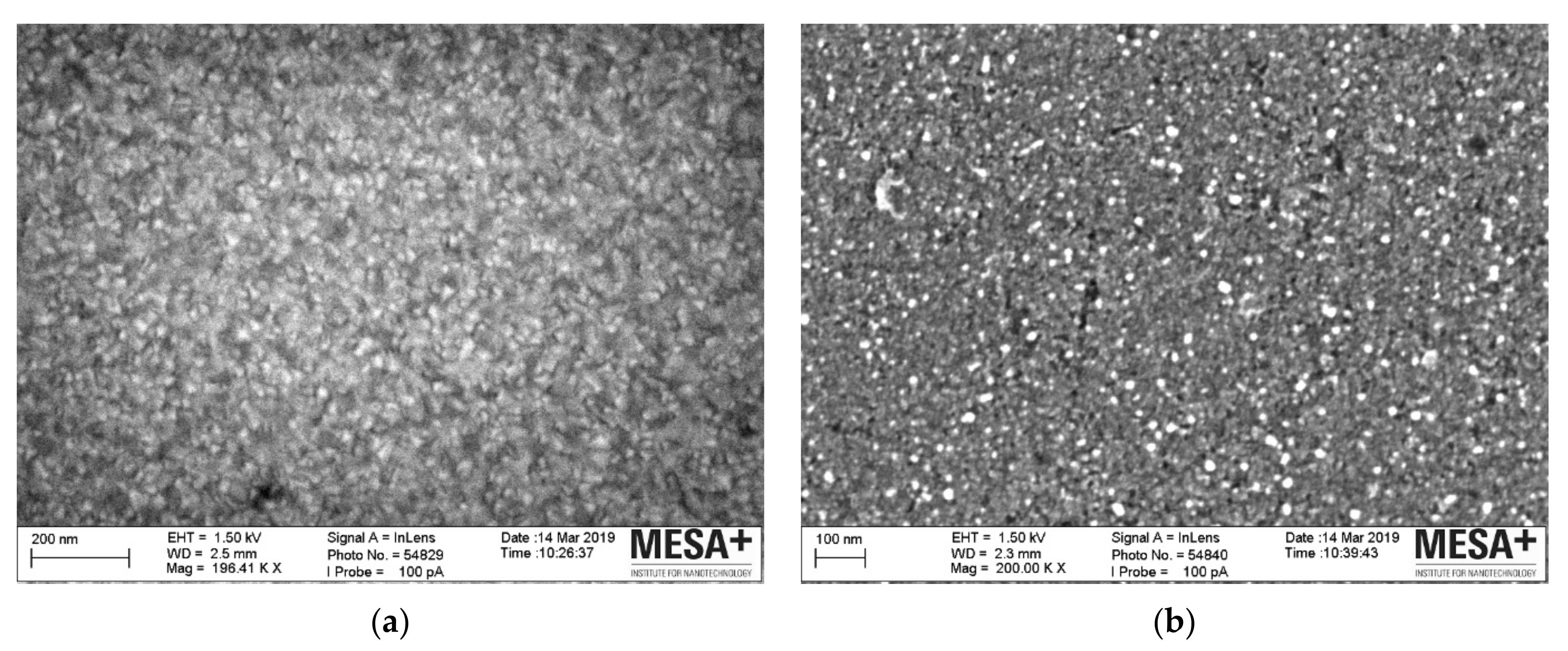 Catalysts 12 01077 g001