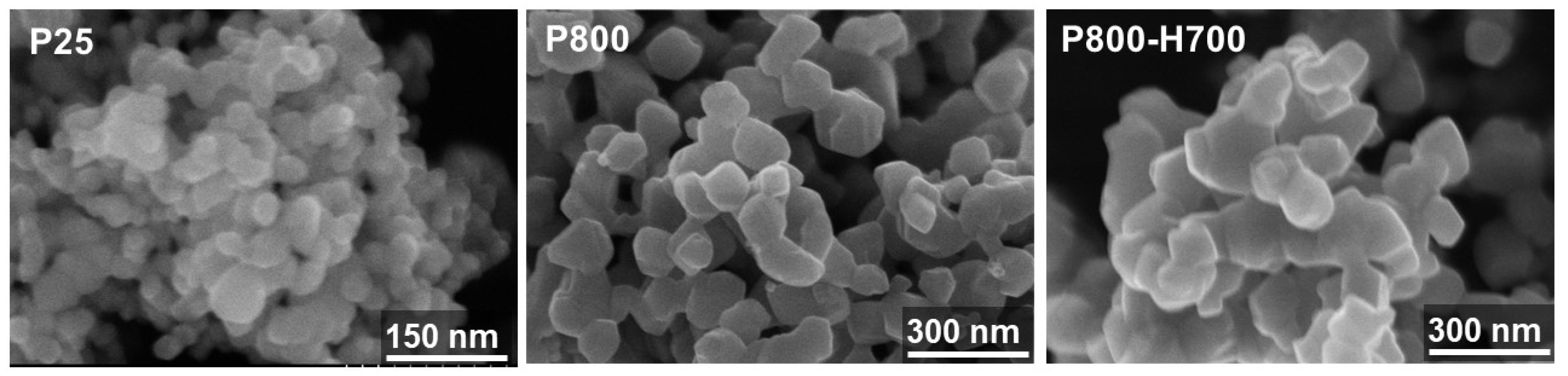 Catalysts 12 01079 g002