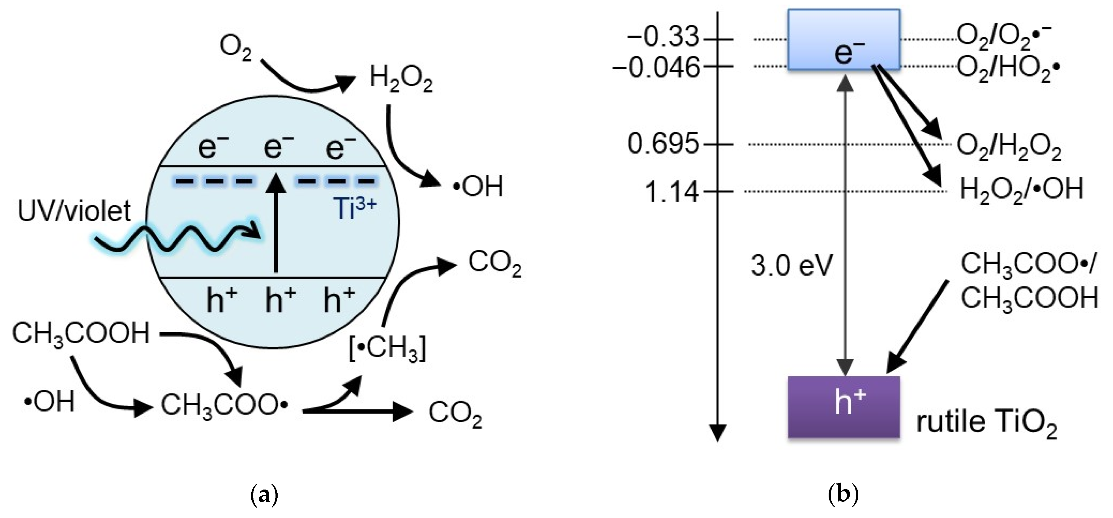 Highly Active Rutile TiO2 for Photocatalysis under Violet Highly Active Rutile TiO2 for Photocatalysis under Violet