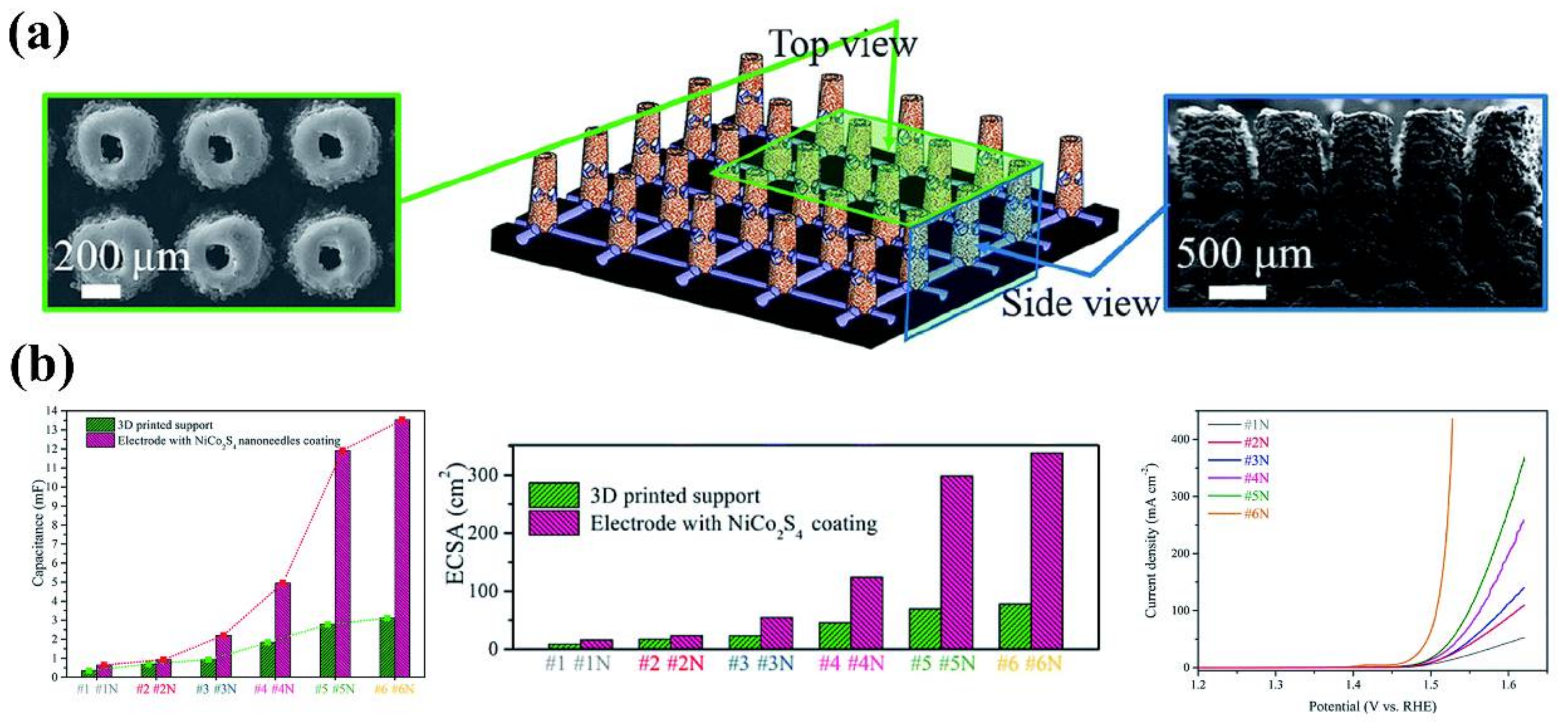 Catalysts 12 01081 g004 Catalysts 12 01081 g004