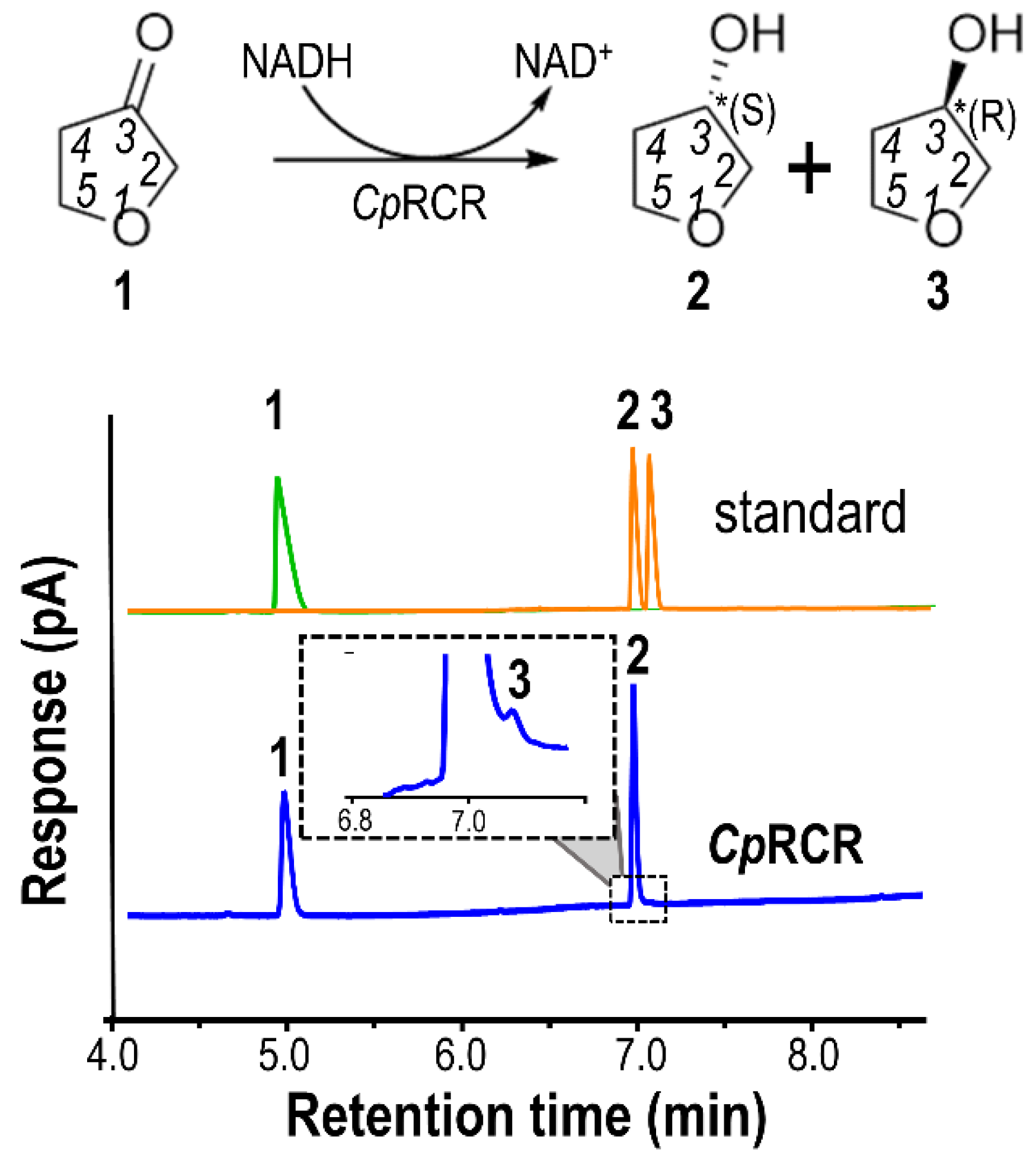 Catalysts 12 01086 g001
