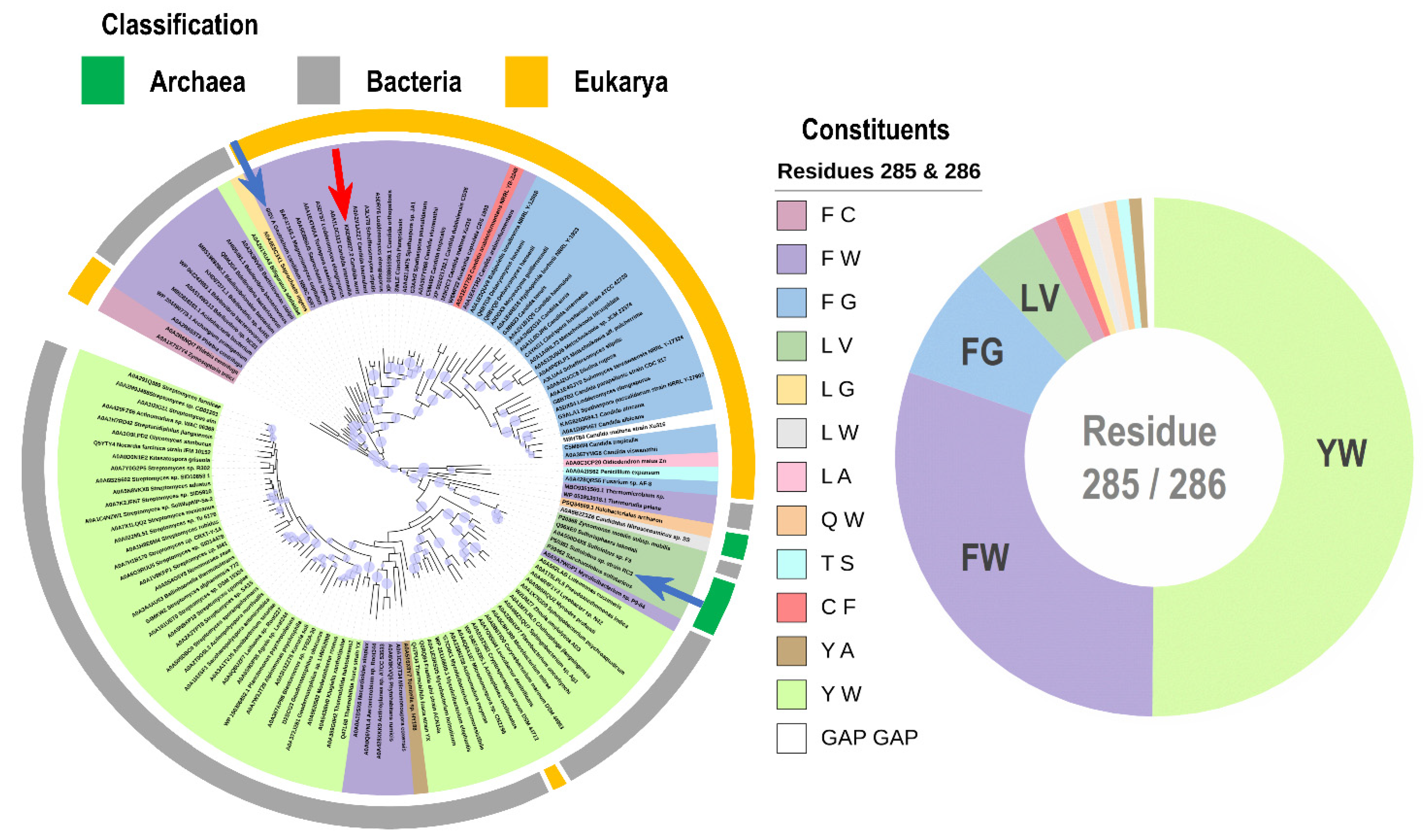 Catalysts 12 01086 g007
