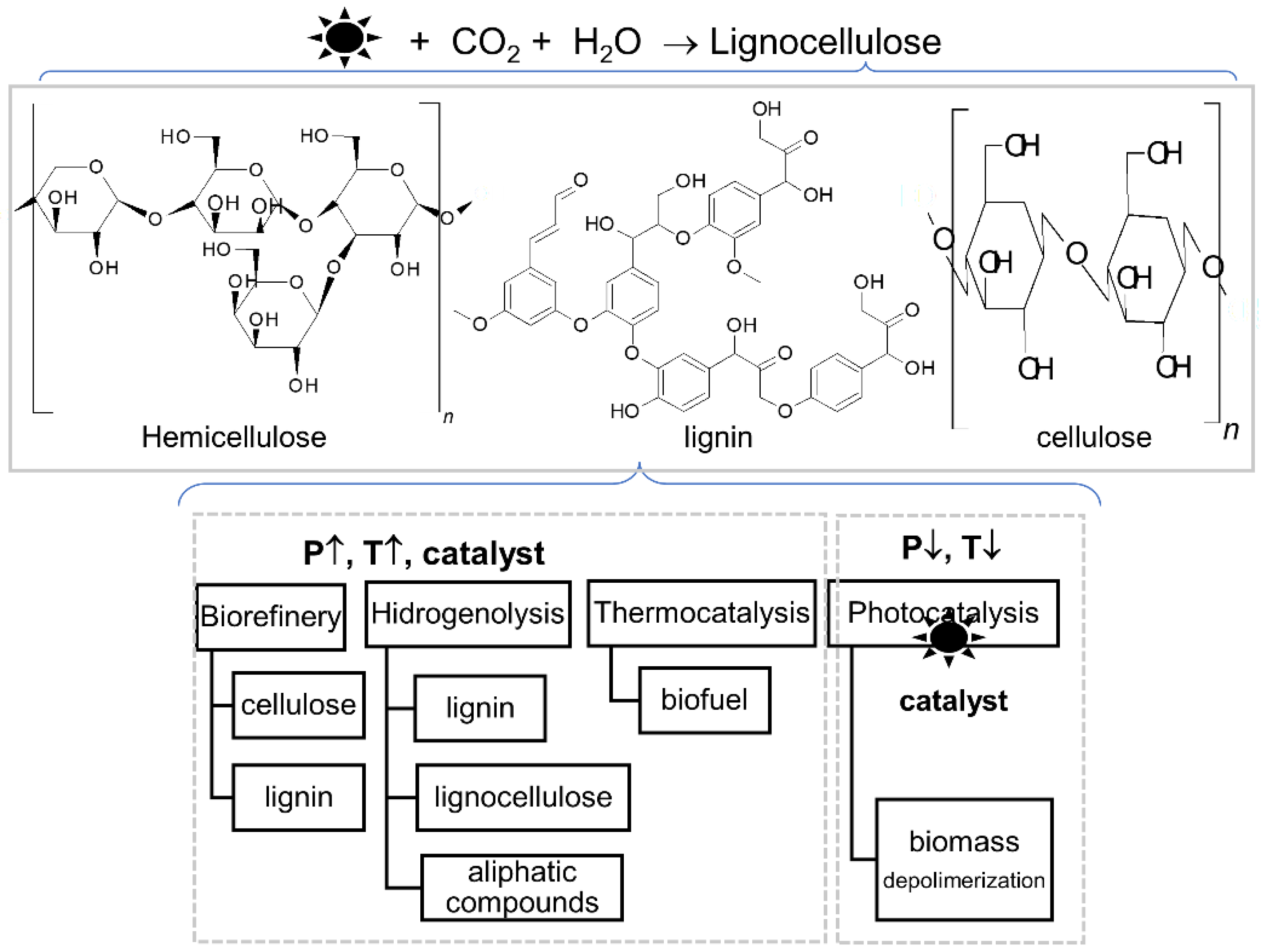Catalysts 12 01091 g003 Catalysts 12 01091 g003