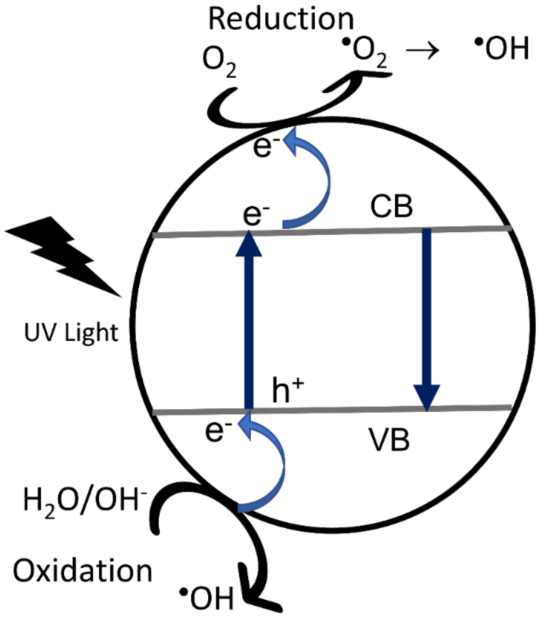 Catalysts 12 01091 g004 Catalysts 12 01091 g004