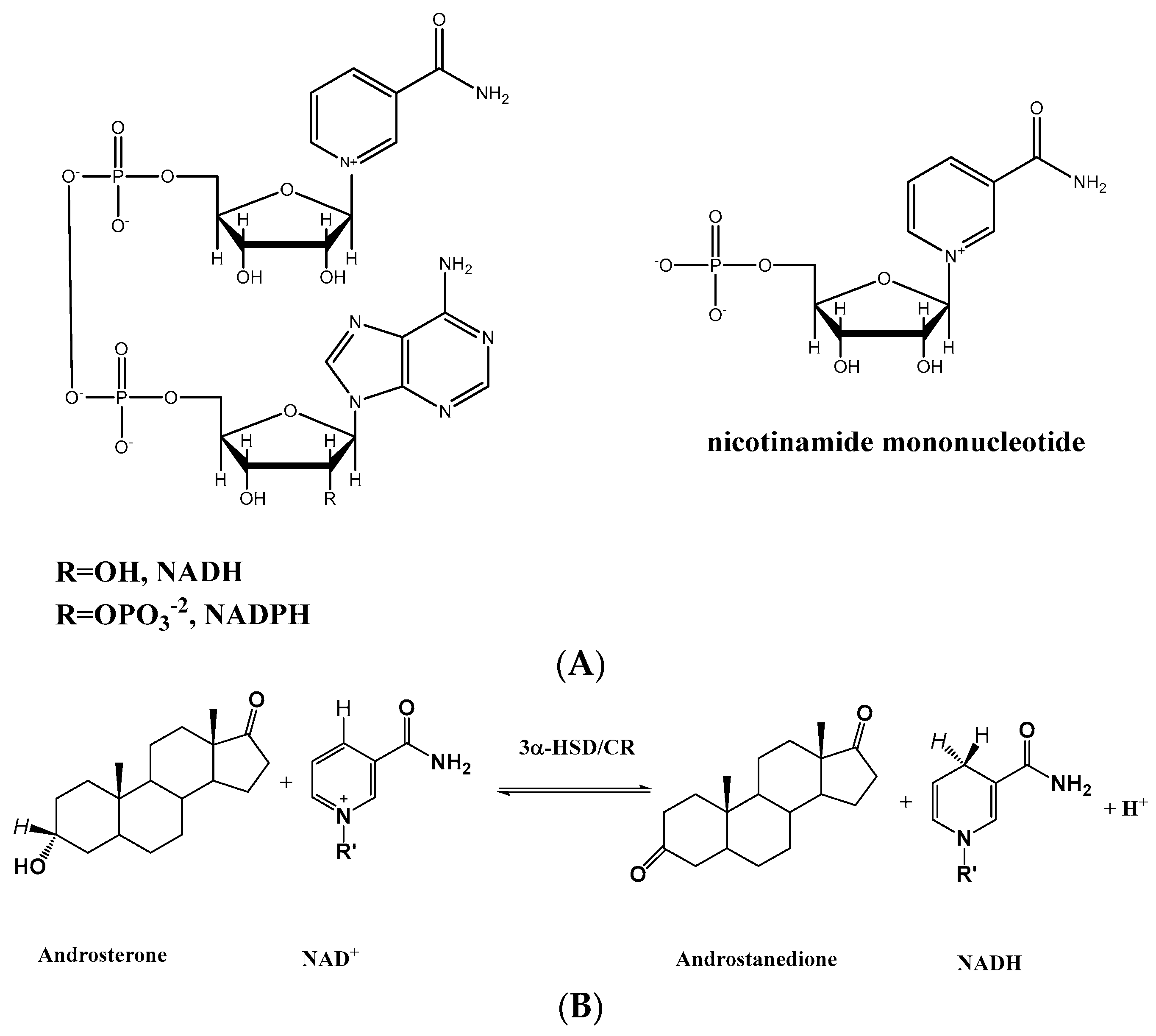 Catalysts 12 01094 g001