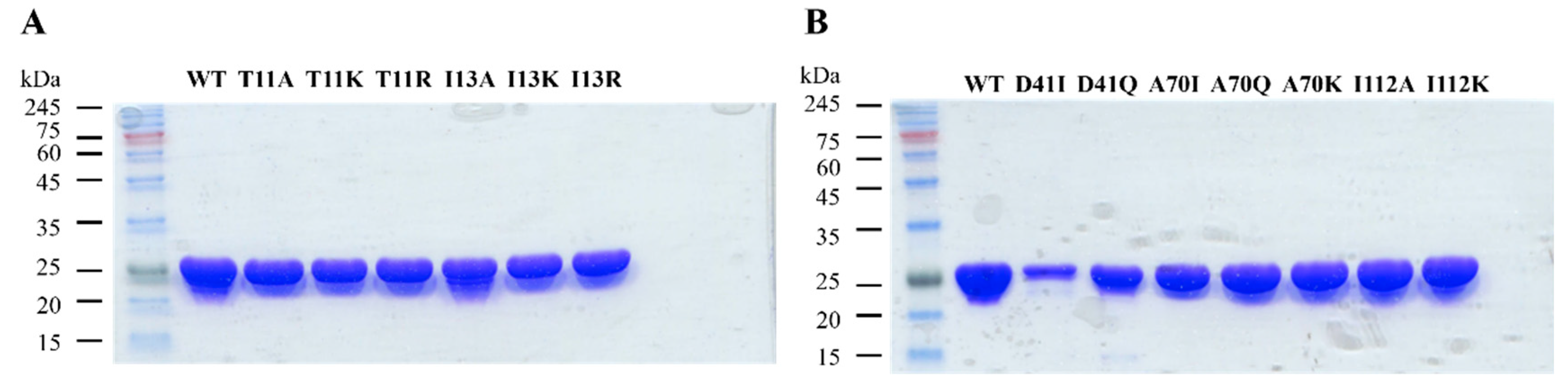 Catalysts 12 01094 g004