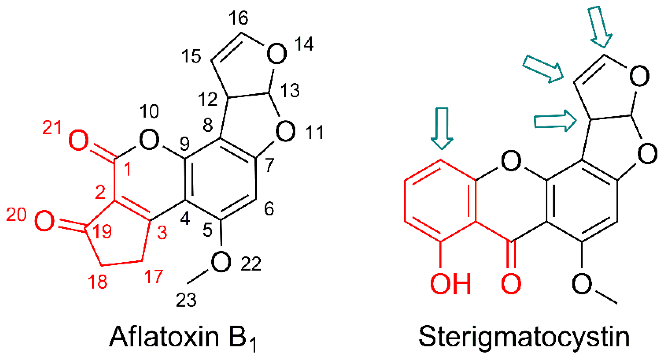 Catalysts 12 01095 g004