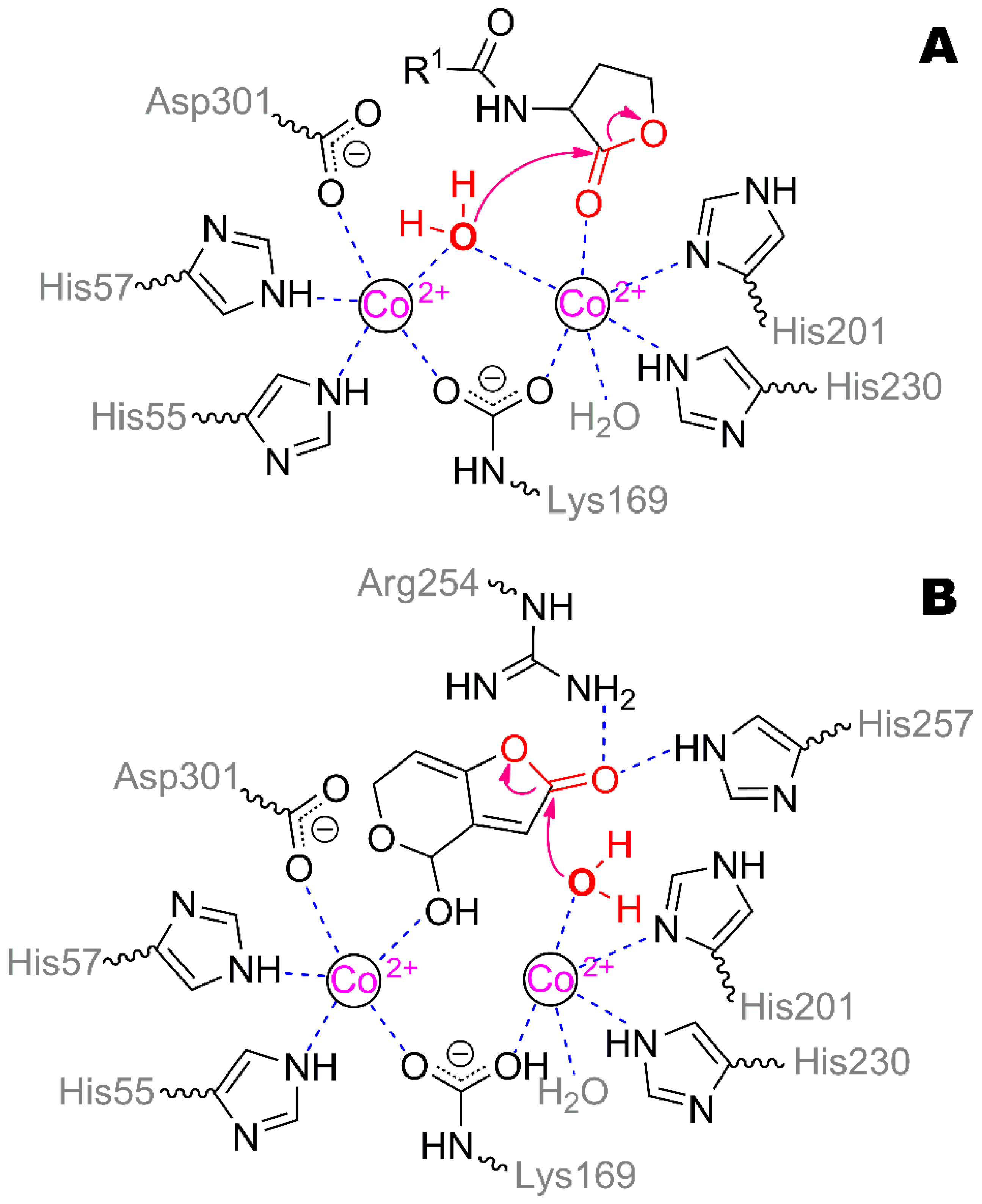Catalysts 12 01095 g006