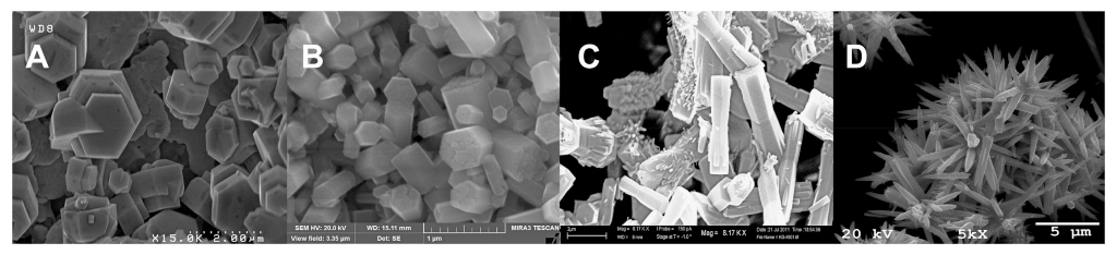 Catalysts 12 01099 g001