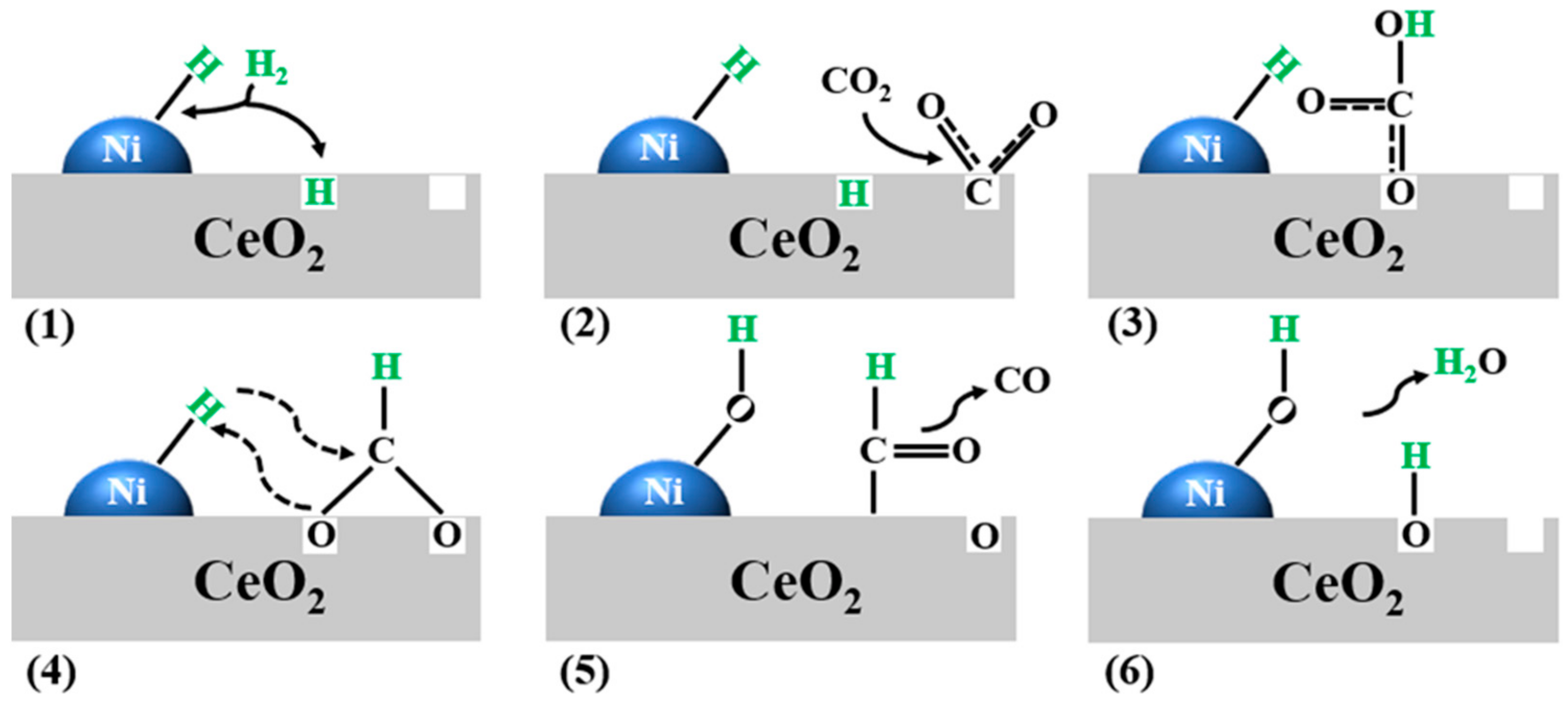 Catalysts 12 01101 g007