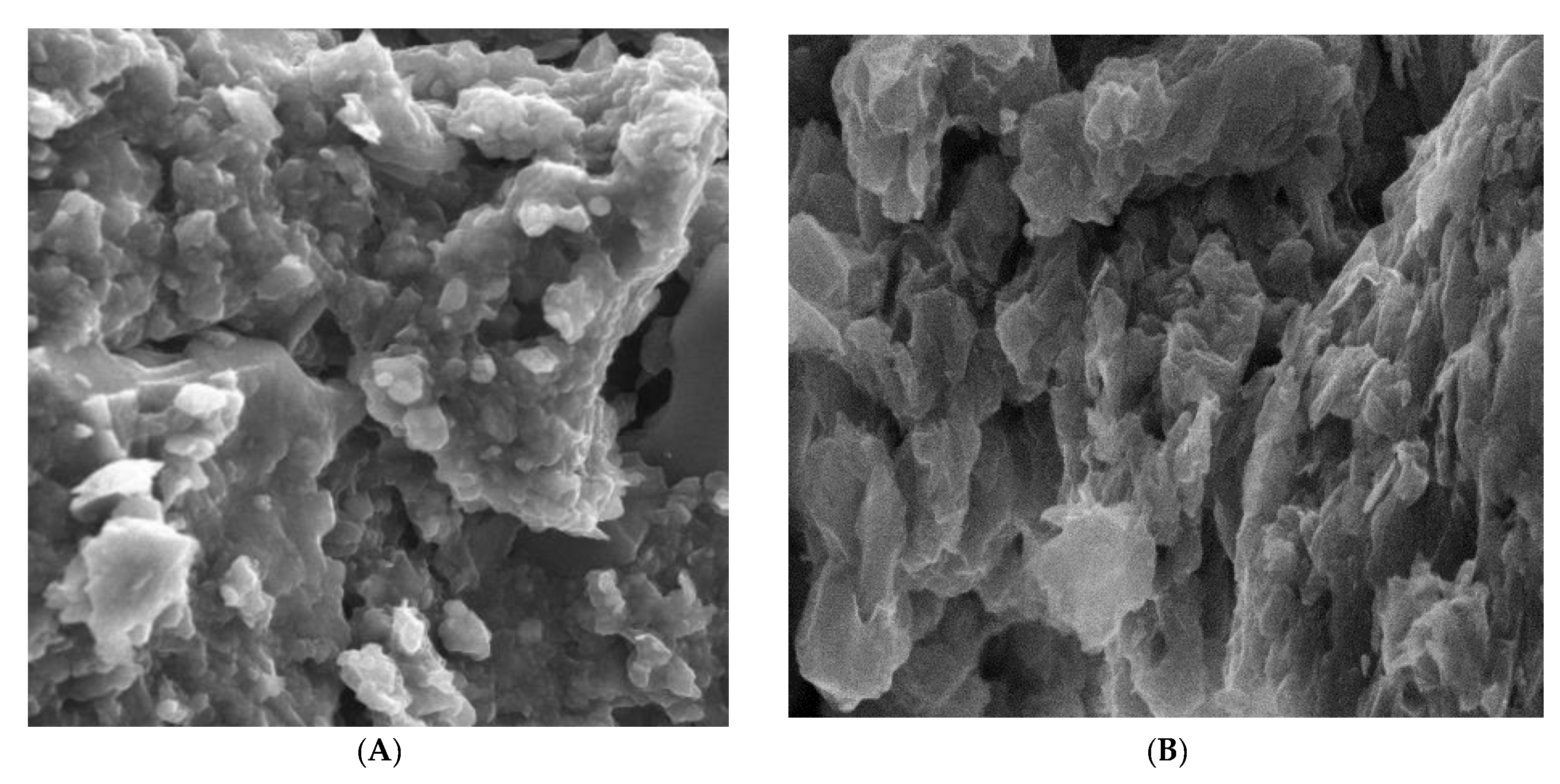Catalysts 12 01105 g004