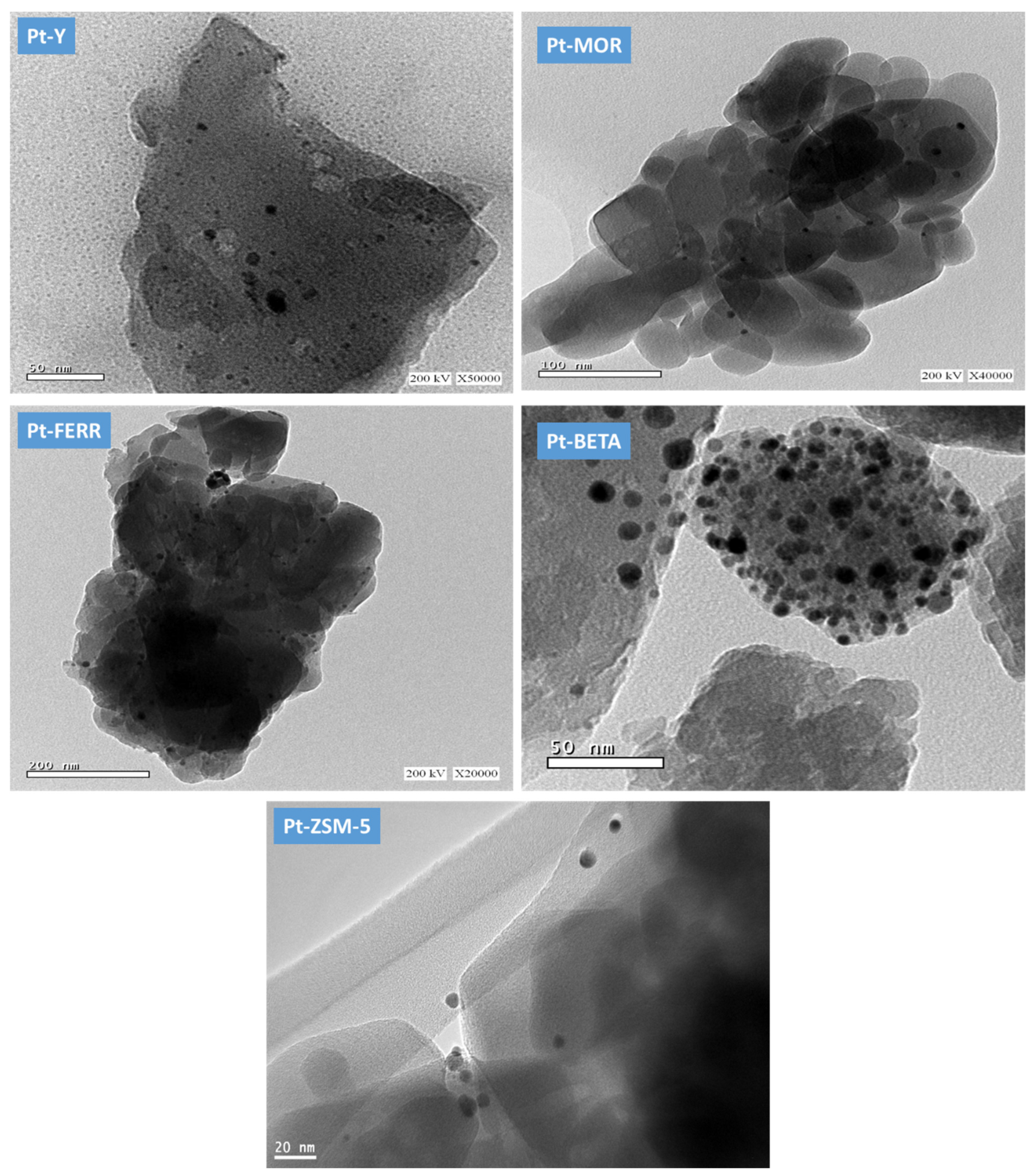 Catalysts 12 01106 g006 Catalysts 12 01106 g006