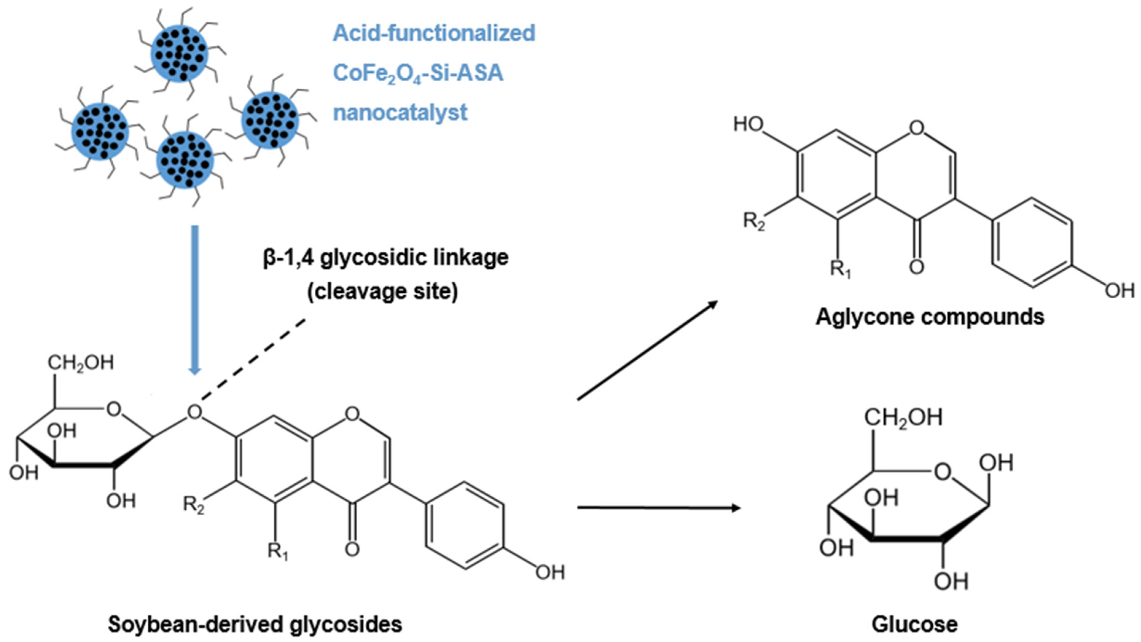 Catalysts Free FullText Production of Therapeutically Significant