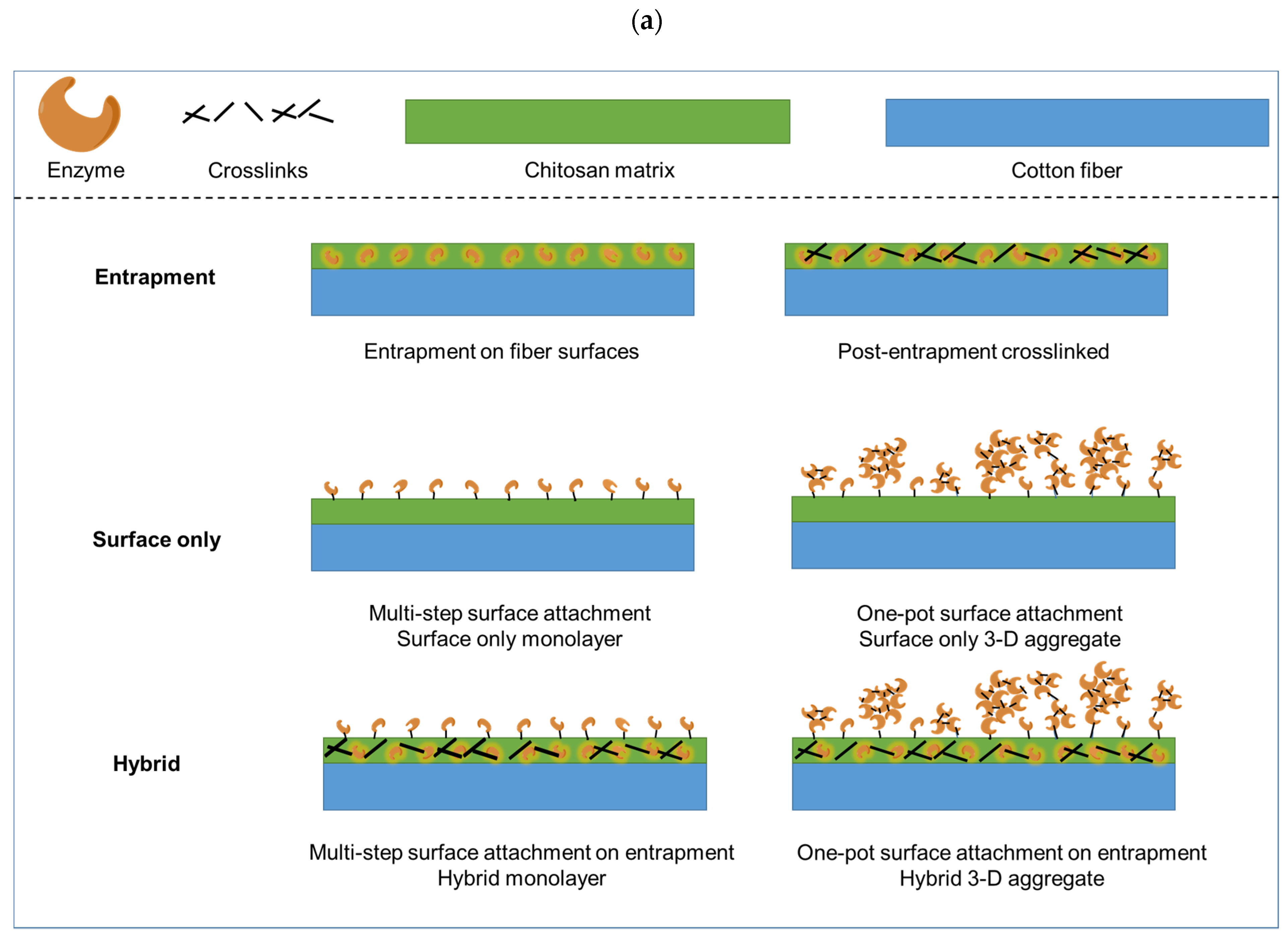 Catalysts 12 01108 g001a