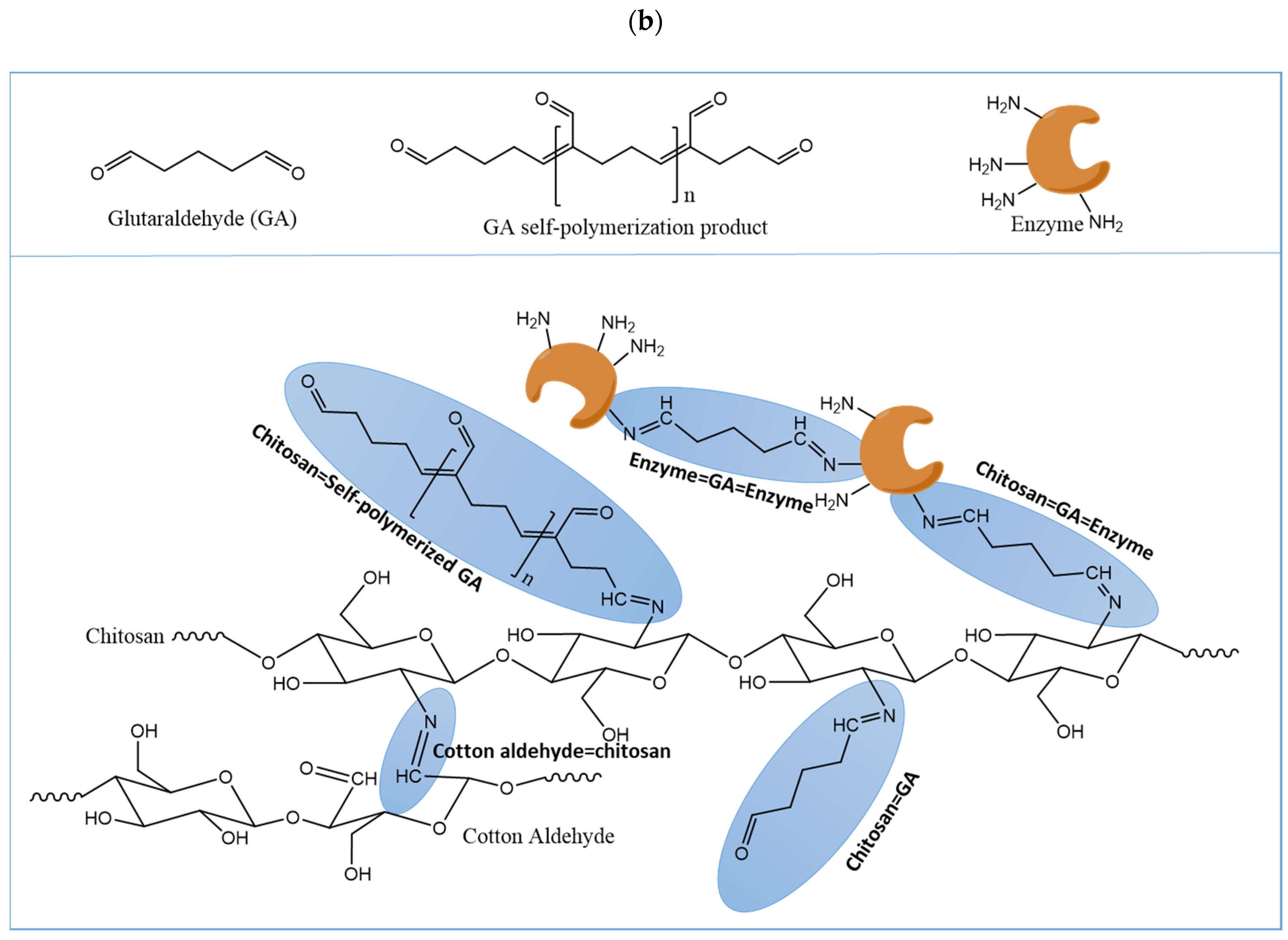 Catalysts 12 01108 g001b
