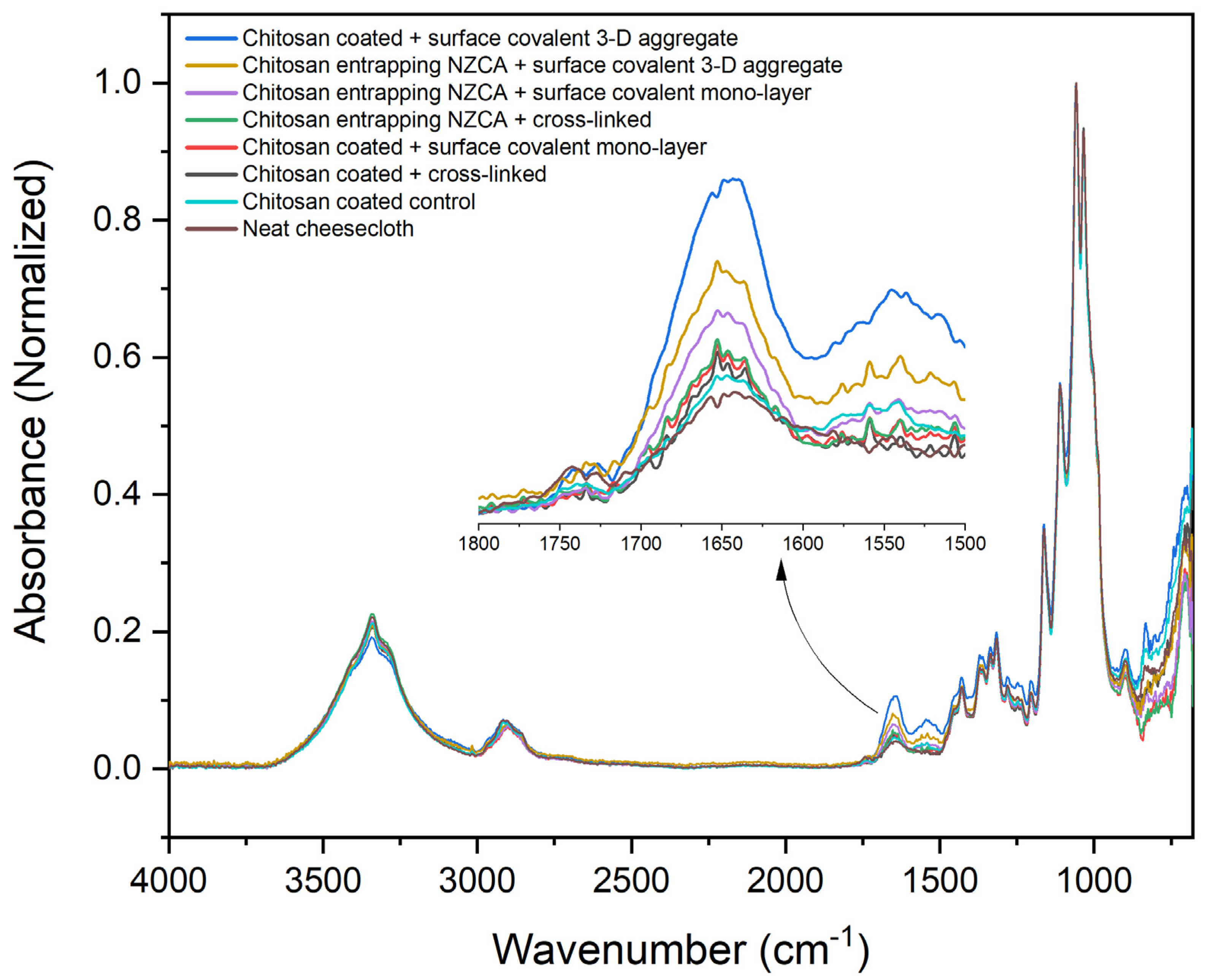 Catalysts 12 01108 g002