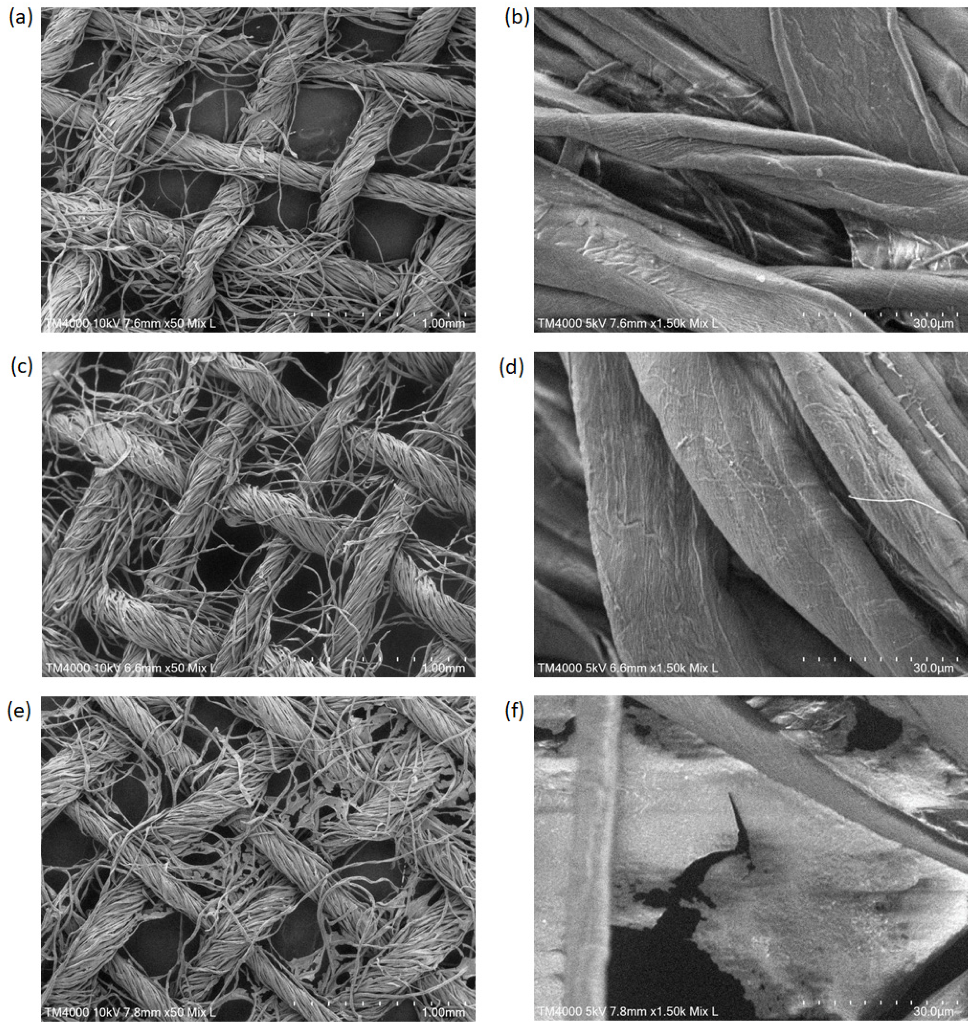 Catalysts 12 01108 g003