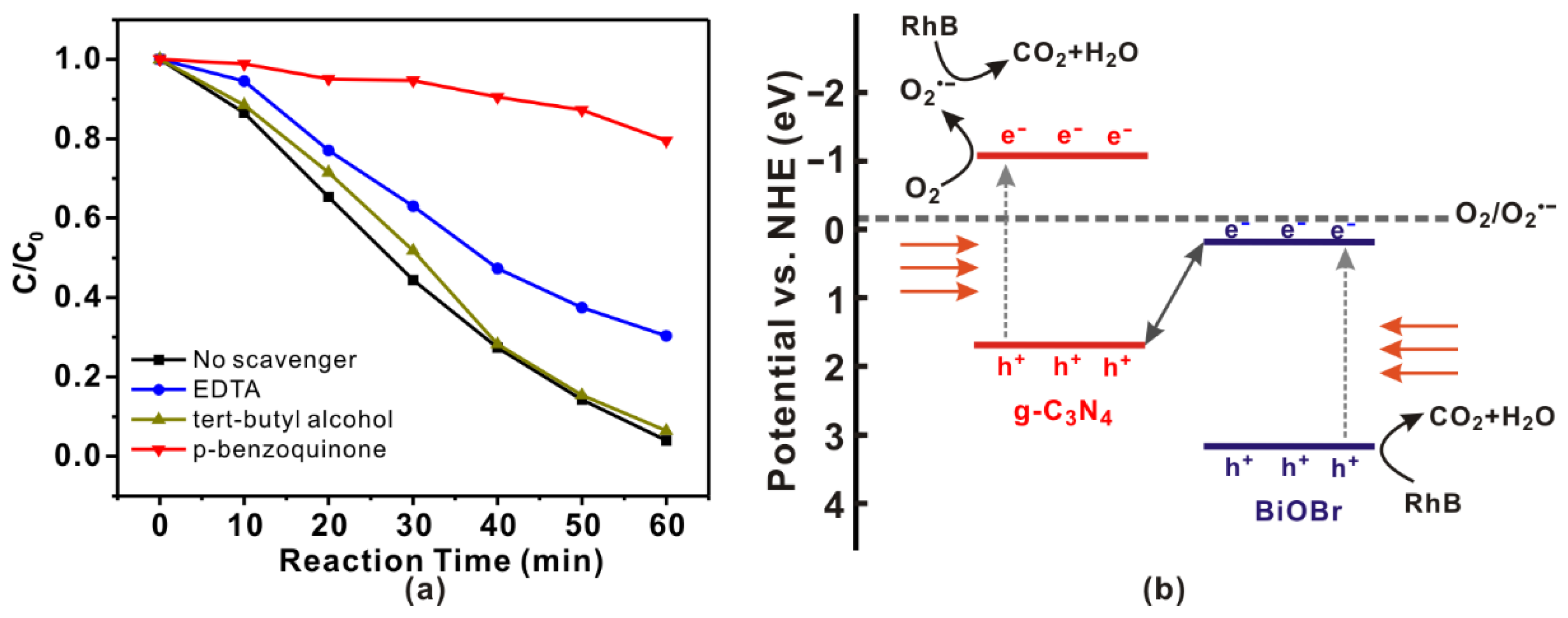 Catalysts 12 01109 g008 550