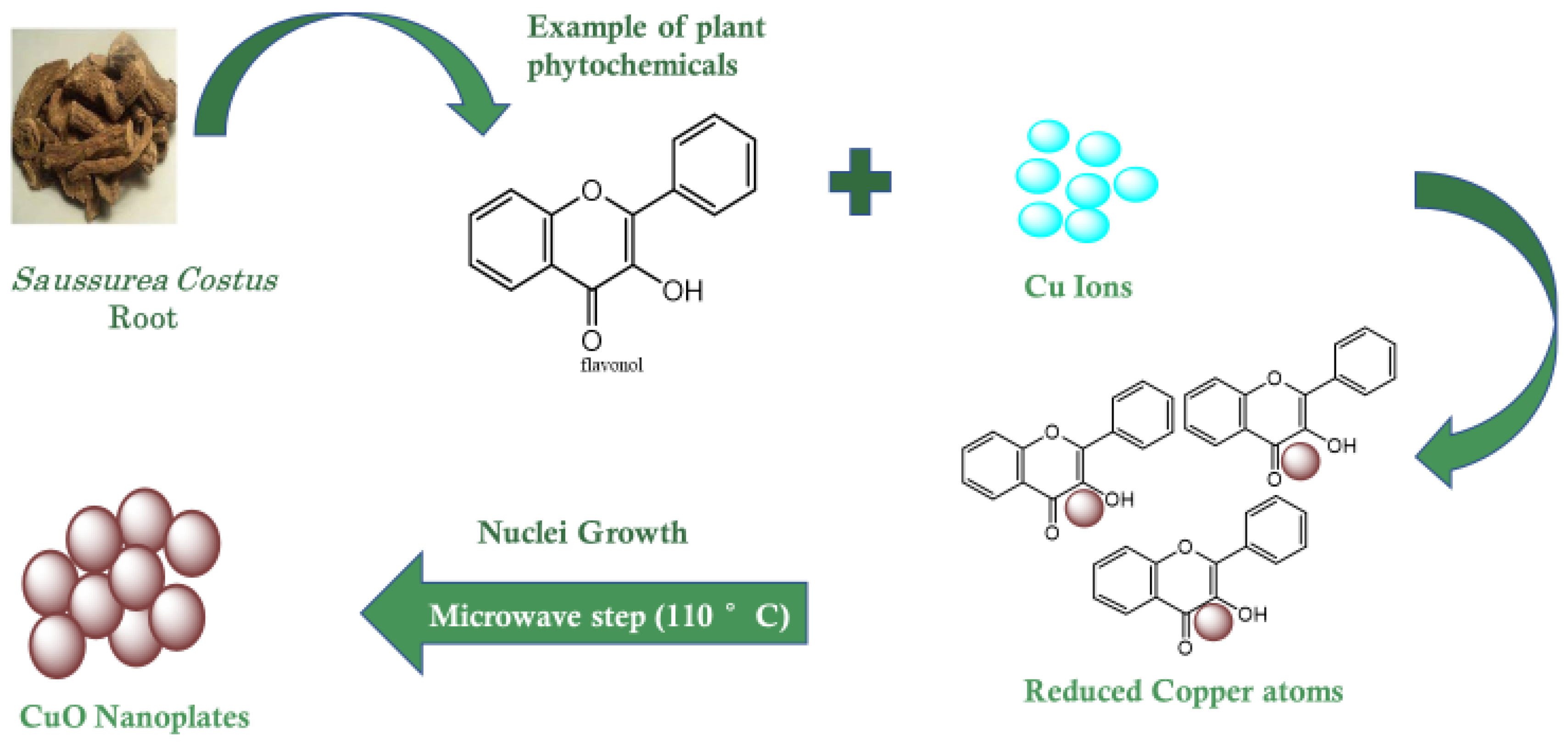 Catalysts 12 01115 g006