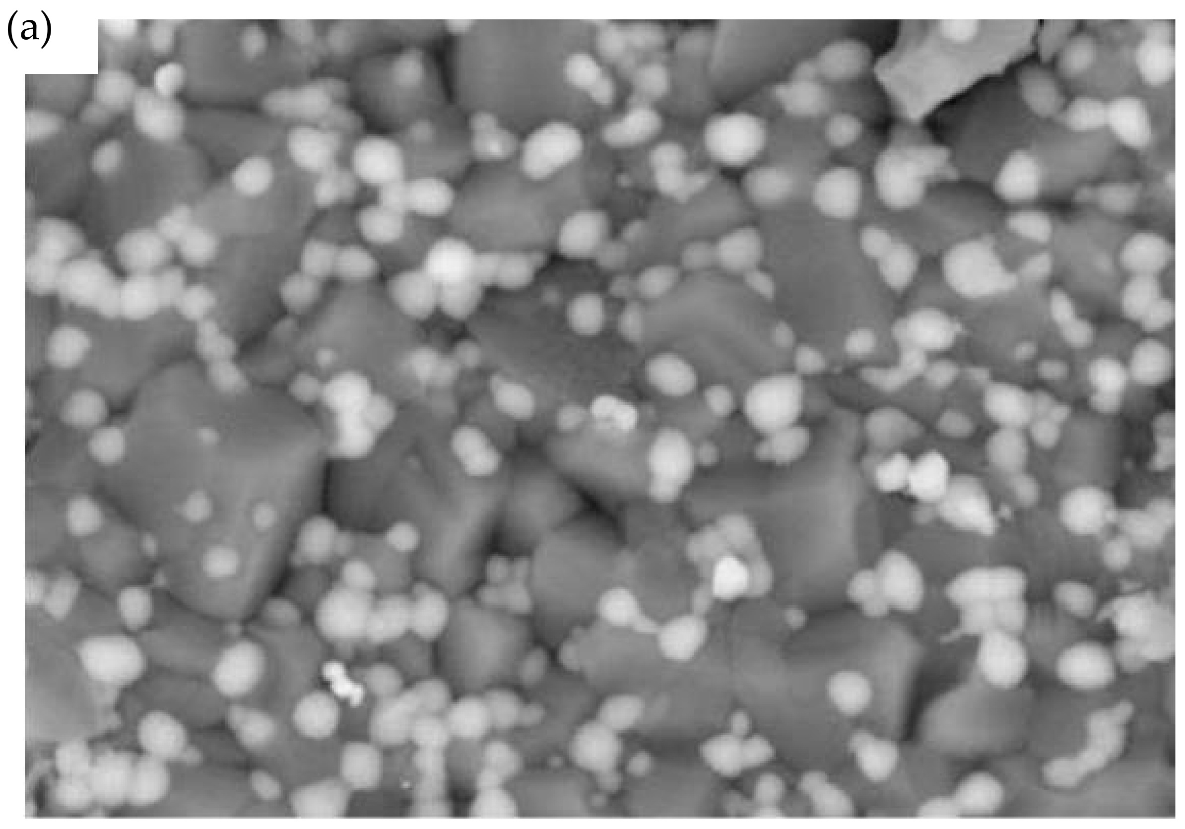 Catalysts 12 01116 g003a 550