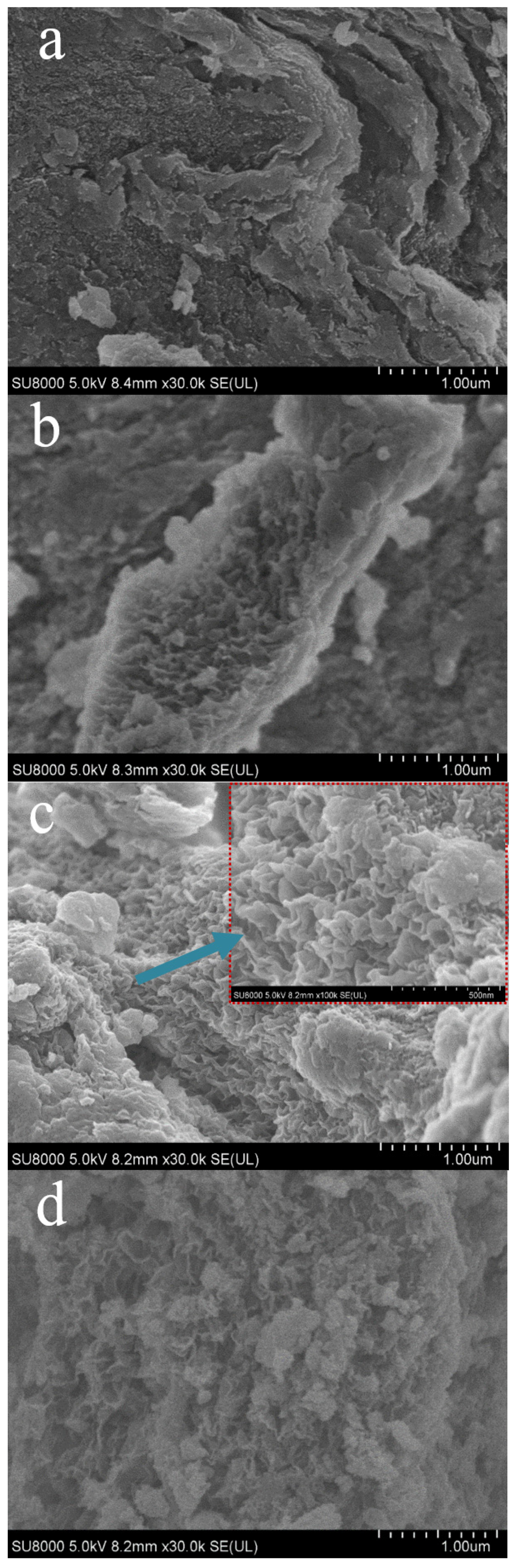 Catalysts 12 01118 g001a