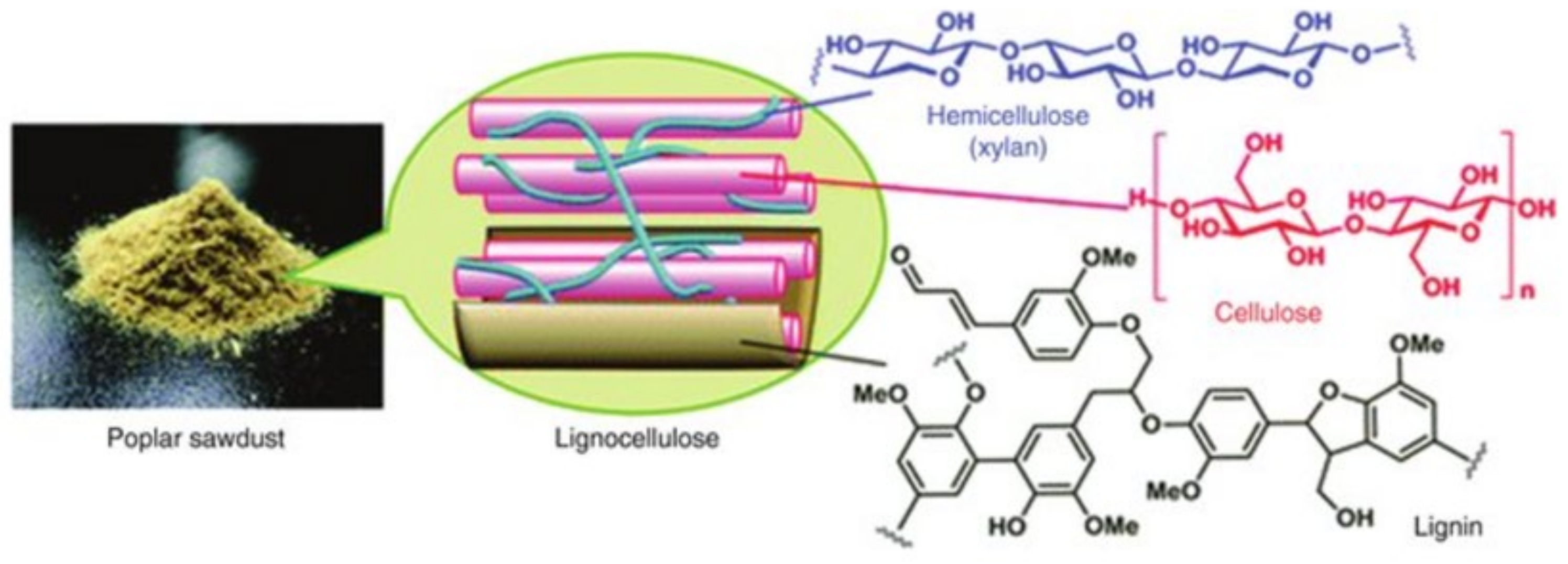 Membrane Bioreactors: A Promising Approach to Enhanced