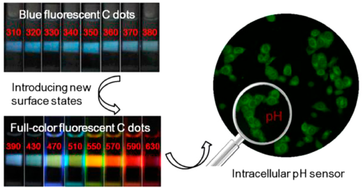 Catalysts 12 01124 g002