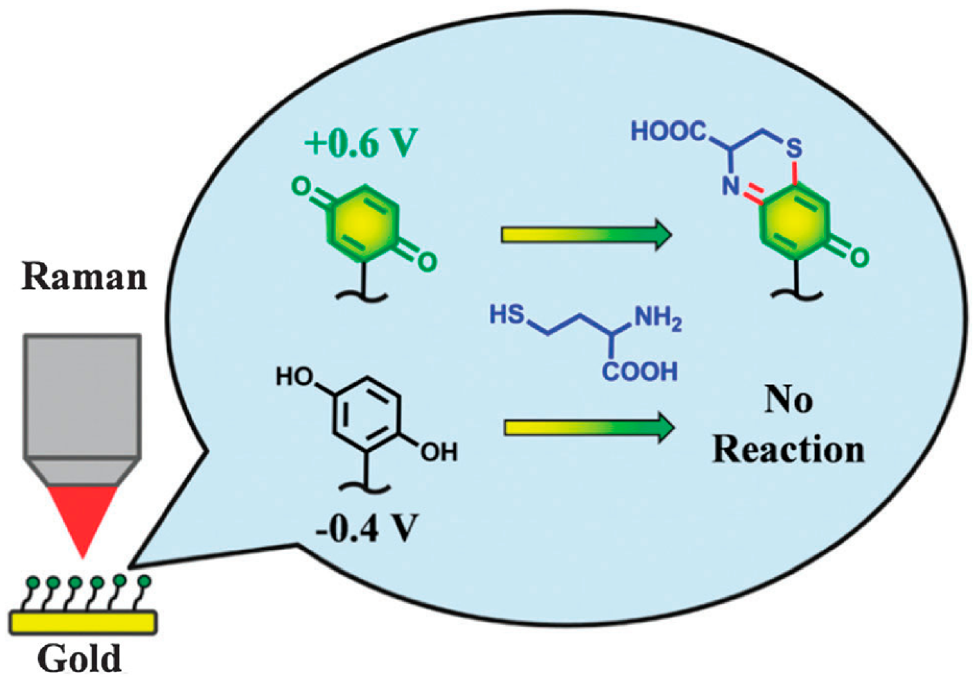 Catalysts 12 01124 g005
