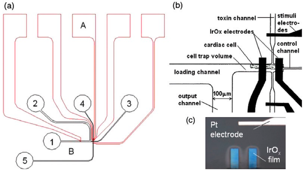 Catalysts 12 01124 g009