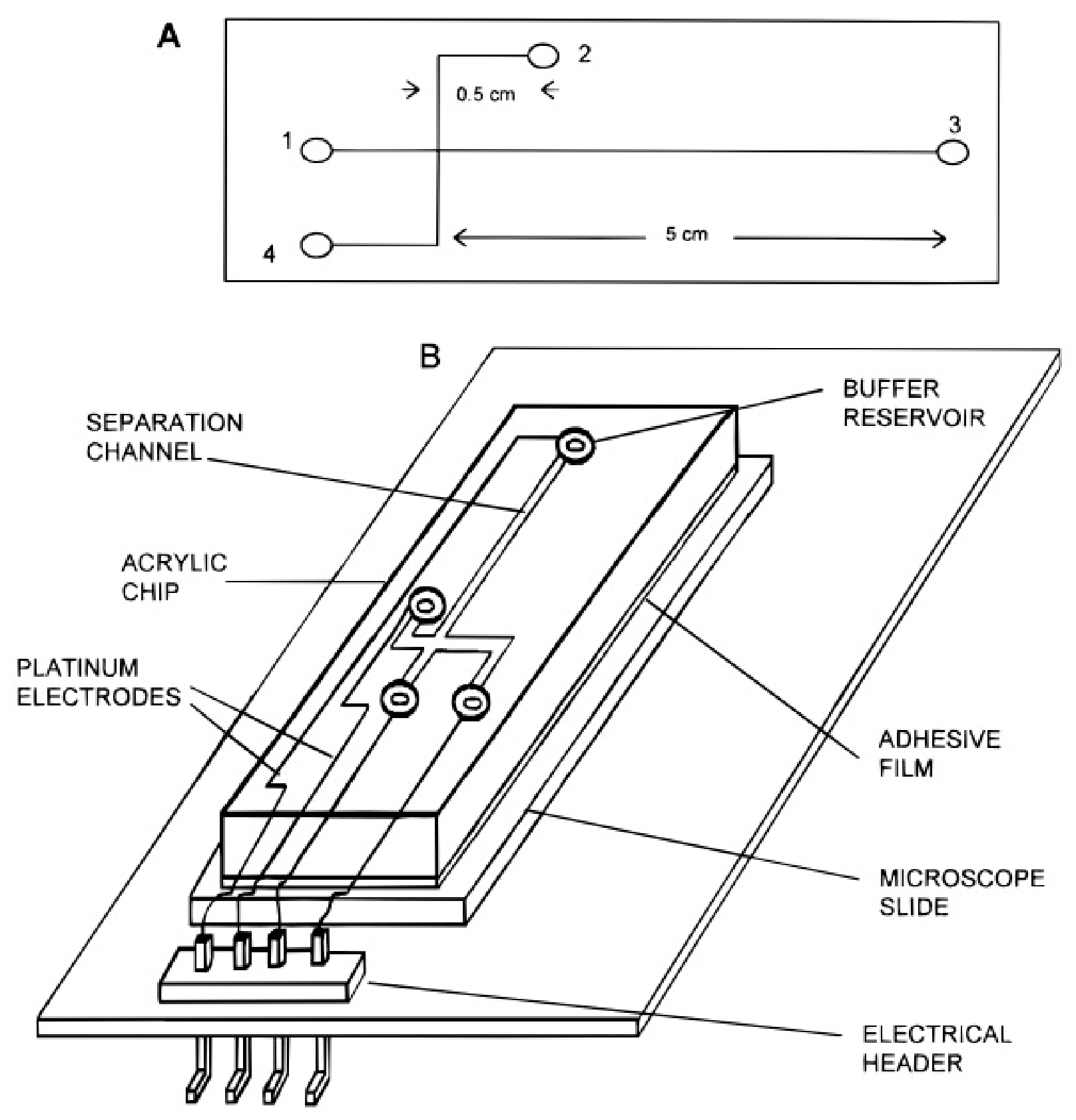 Catalysts 12 01124 g010