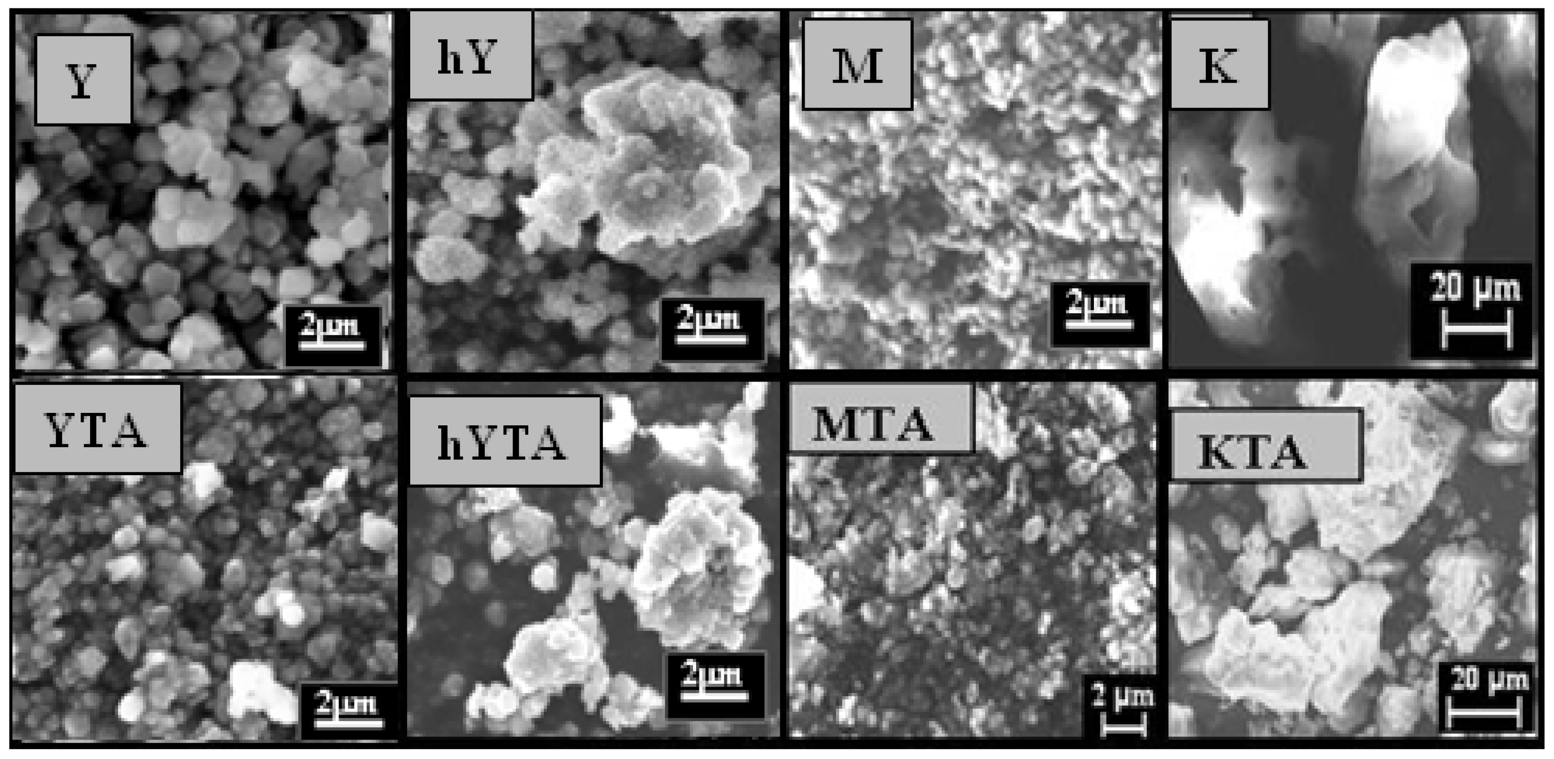 Catalysts 12 01129 g004