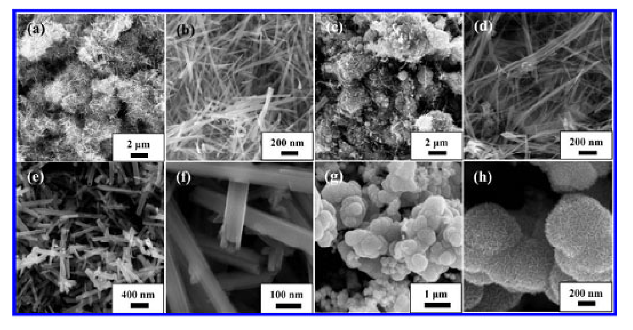 Catalysts 12 01134 g014