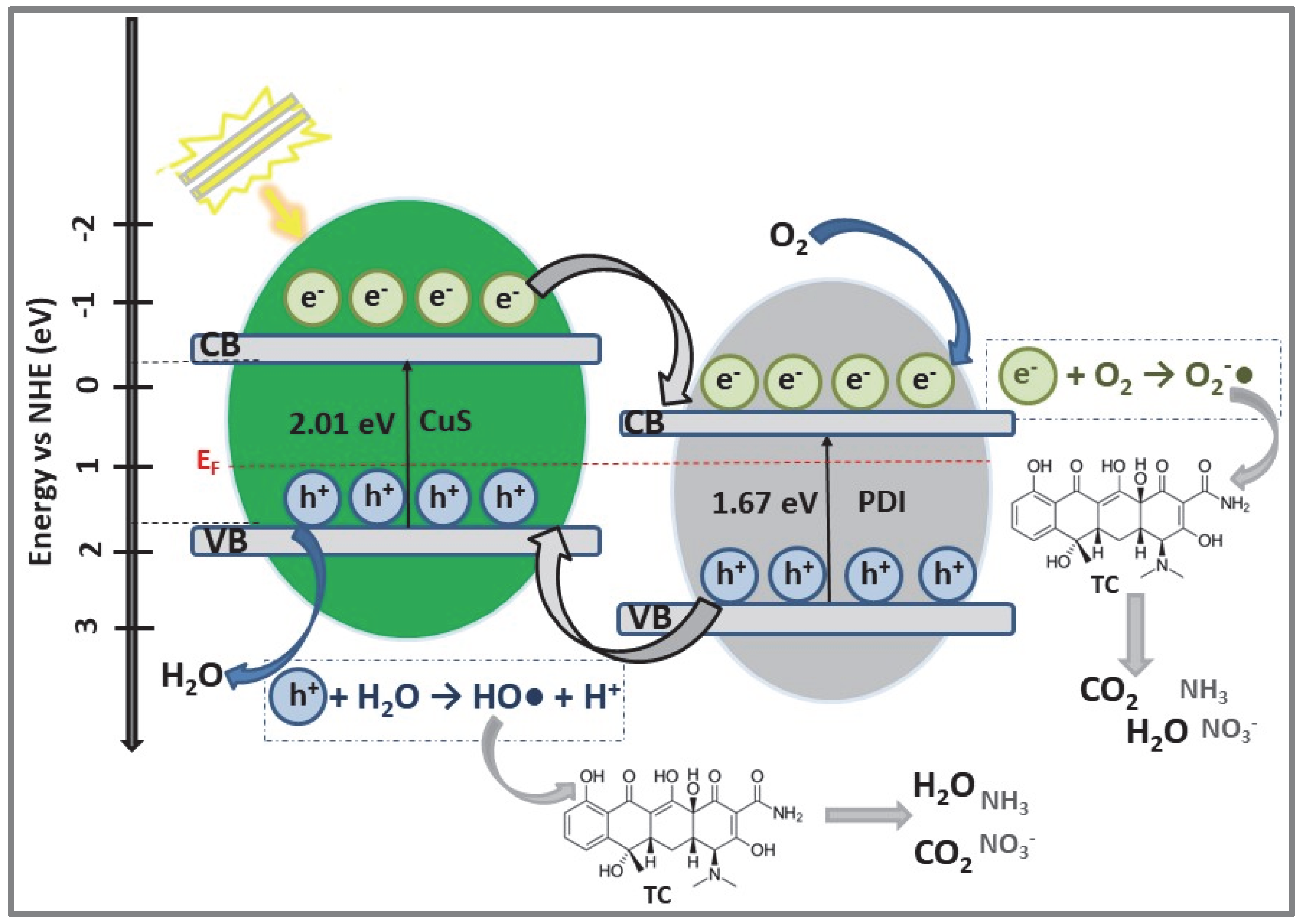 Catalysts 12 01135 g007