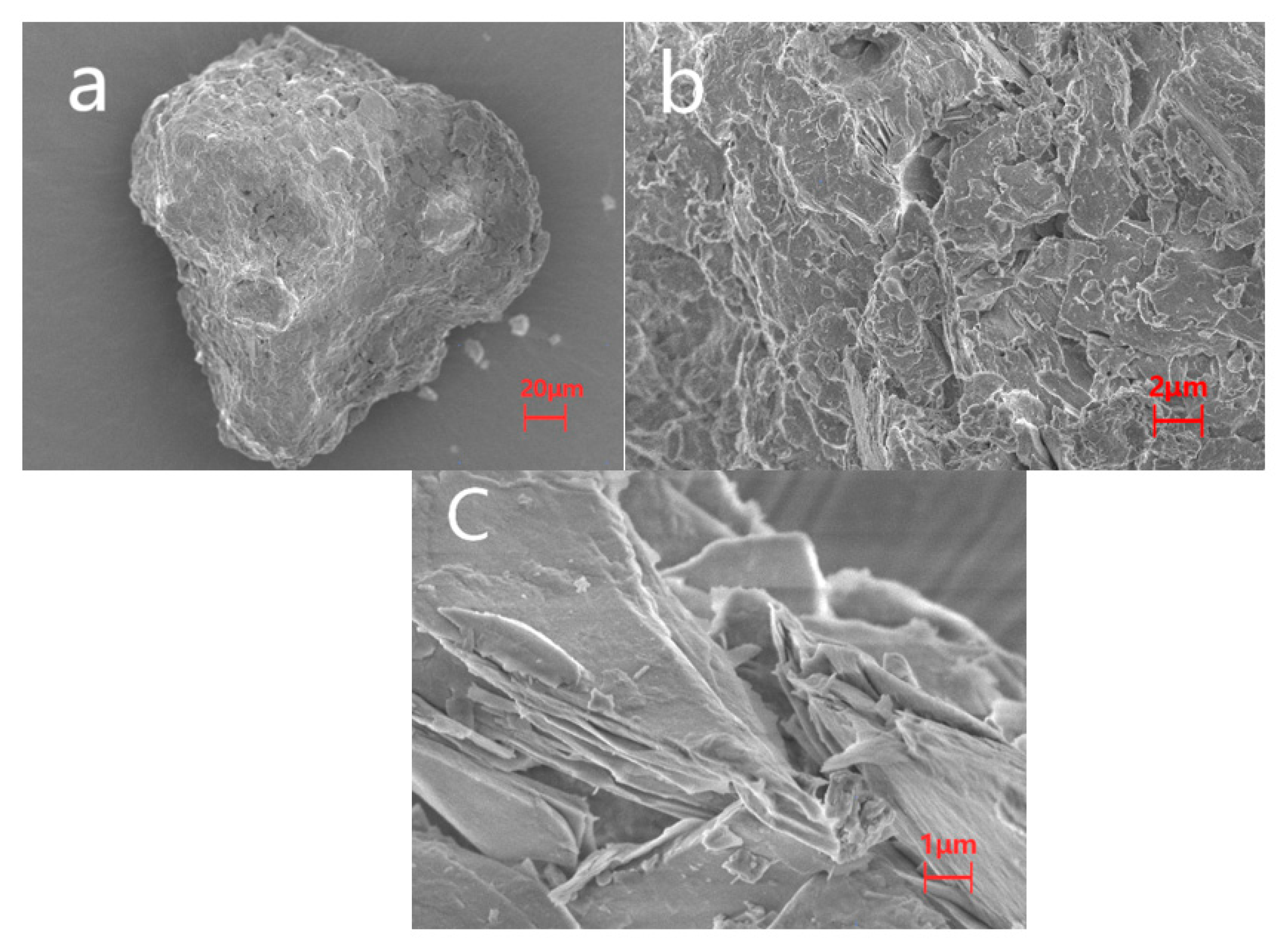 Catalysts 12 01148 g002