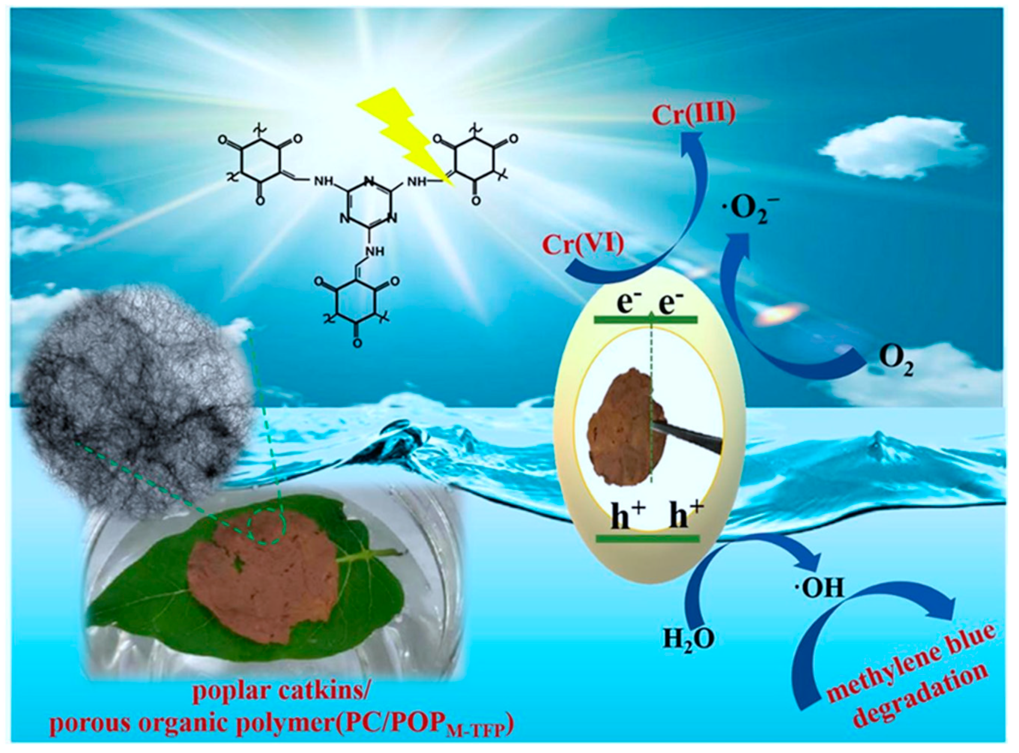 Catalysts 12 01152 g005 Catalysts 12 01152 g005