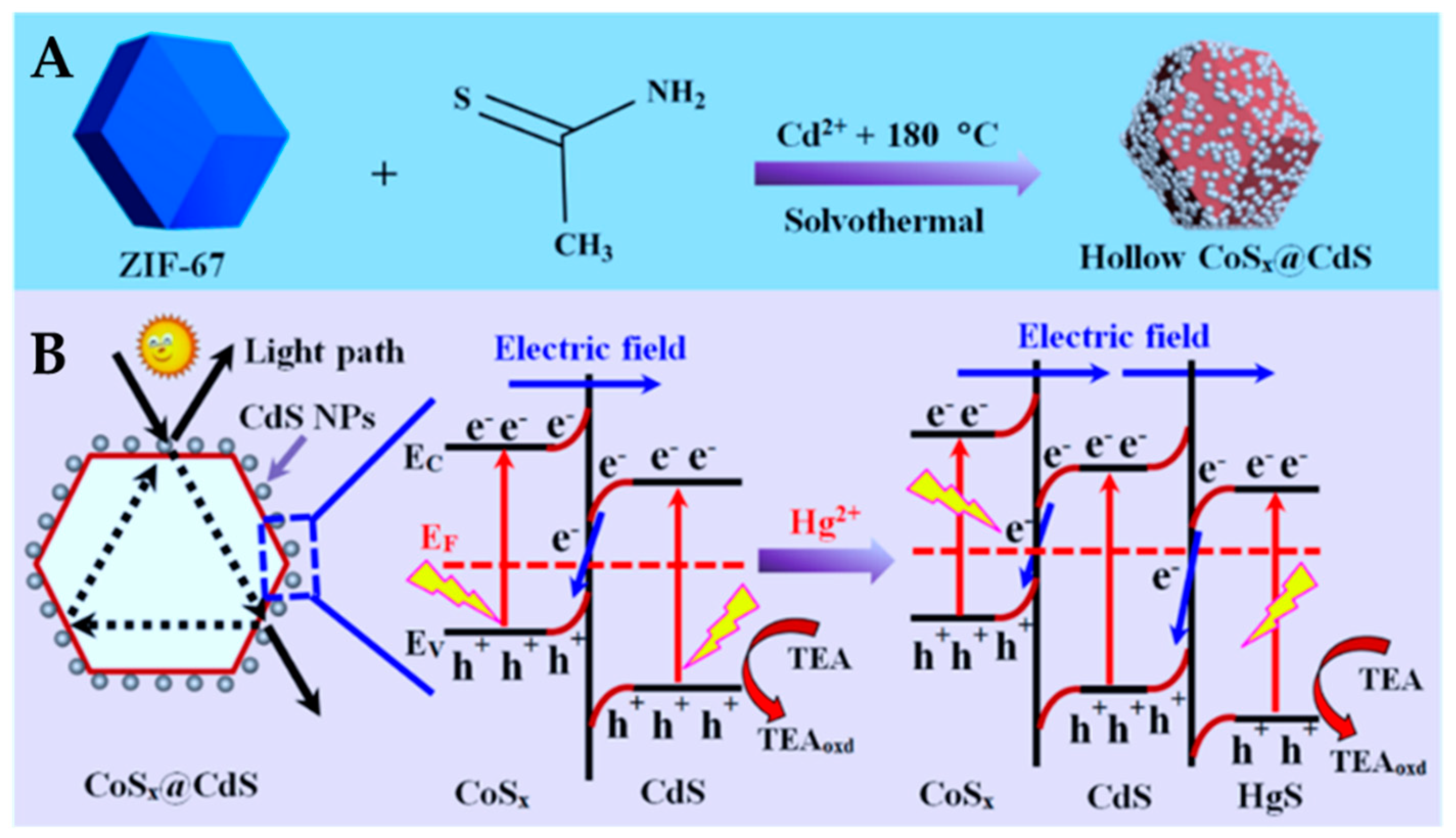 Catalysts 12 01152 g010 Catalysts 12 01152 g010