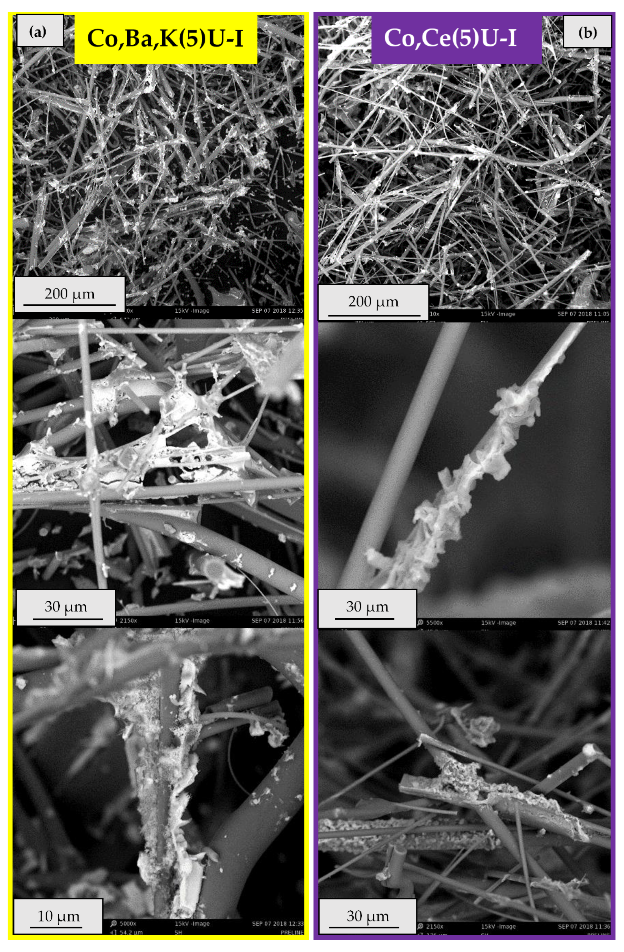 Catalysts 12 01153 g006