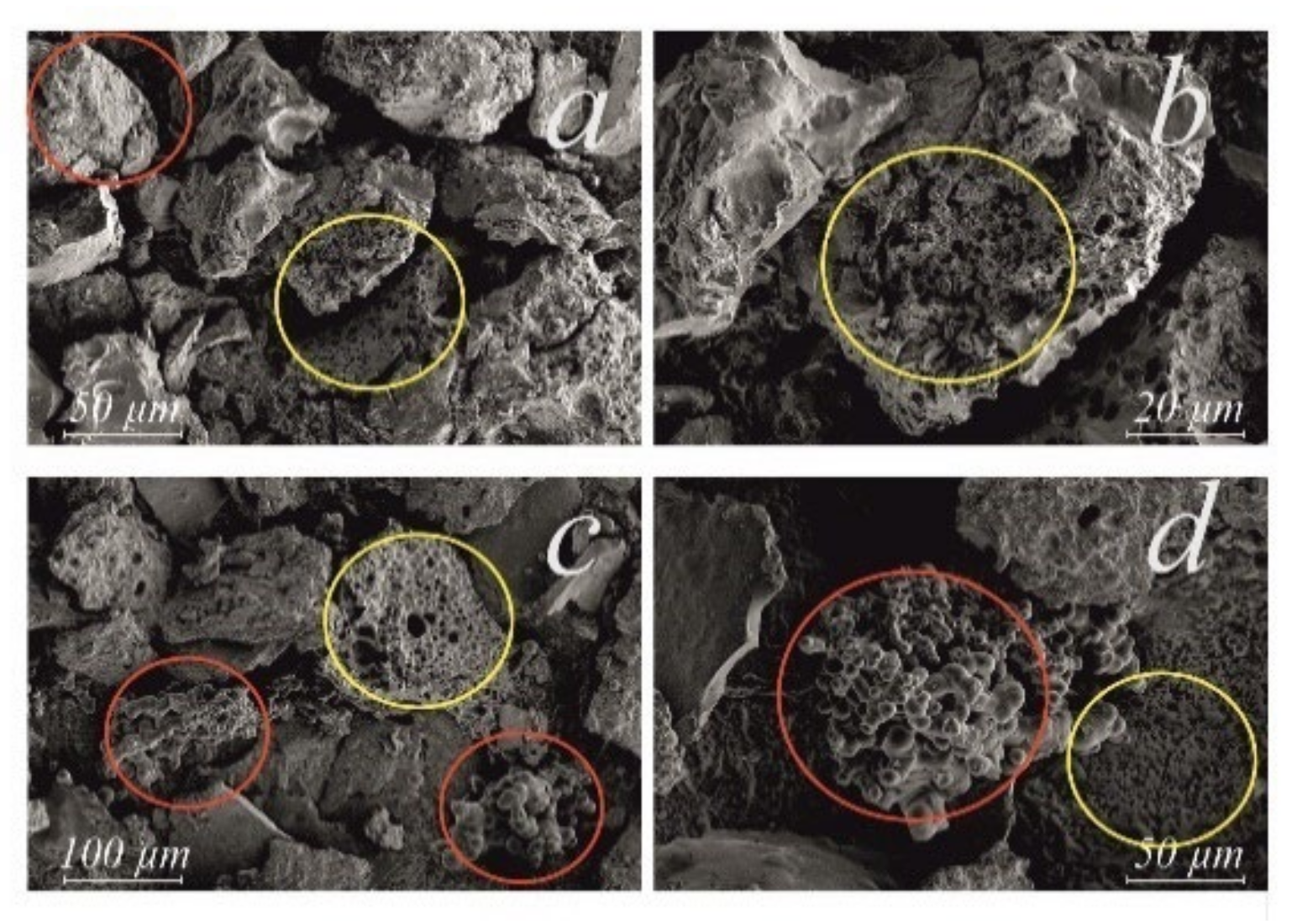 Catalysts 12 01154 g004 Catalysts 12 01154 g004