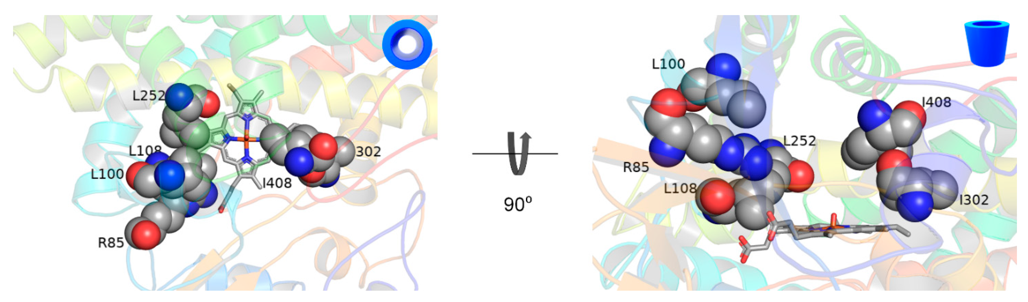 Catalysts 12 01157 g003 Catalysts 12 01157 g003